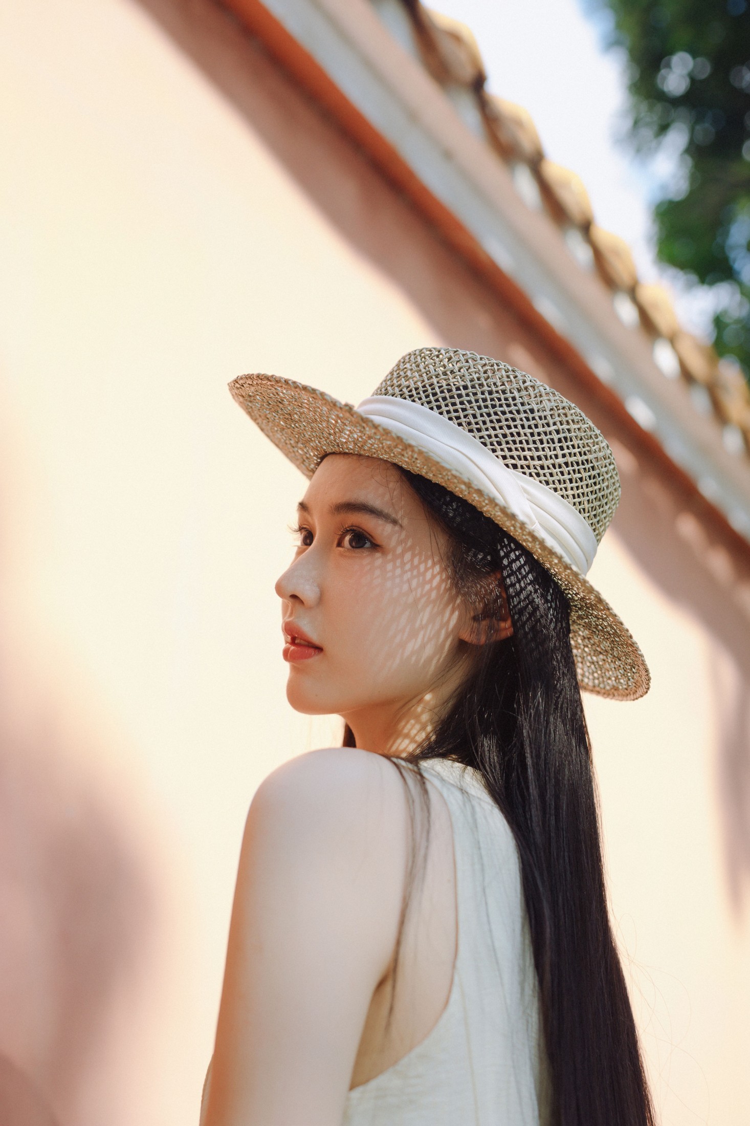 ID11236红墙纪事 - 妍画集-妍画集
