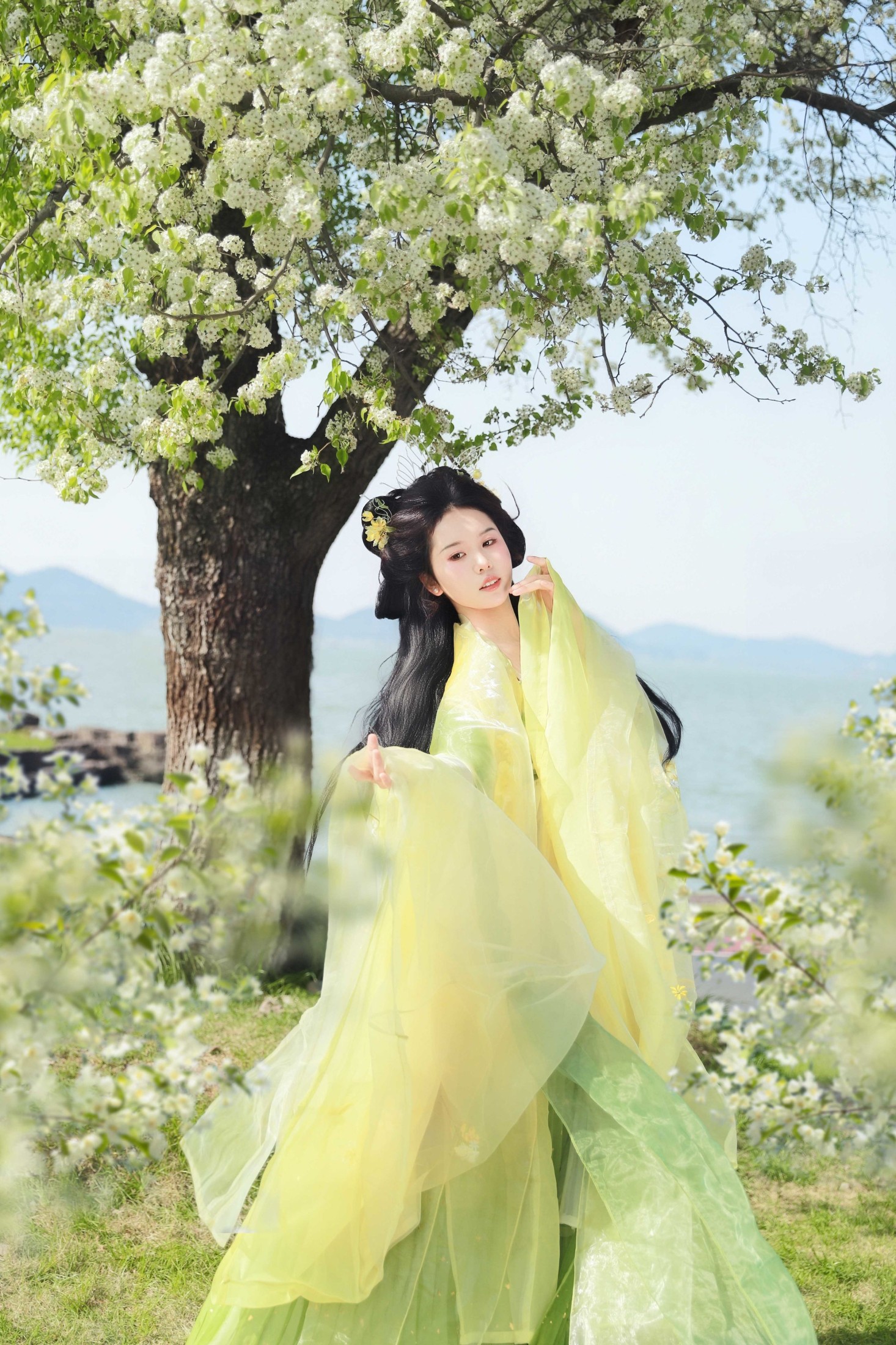 ID11242梨花开 - 妍画集-妍画集