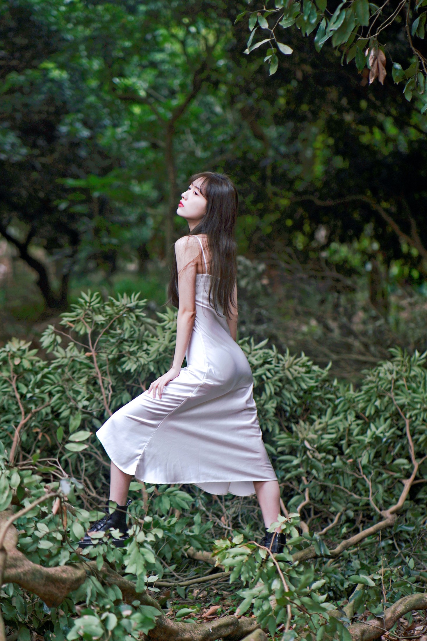 ID11243荔枝树间的白裙诗 - 妍画集-妍画集