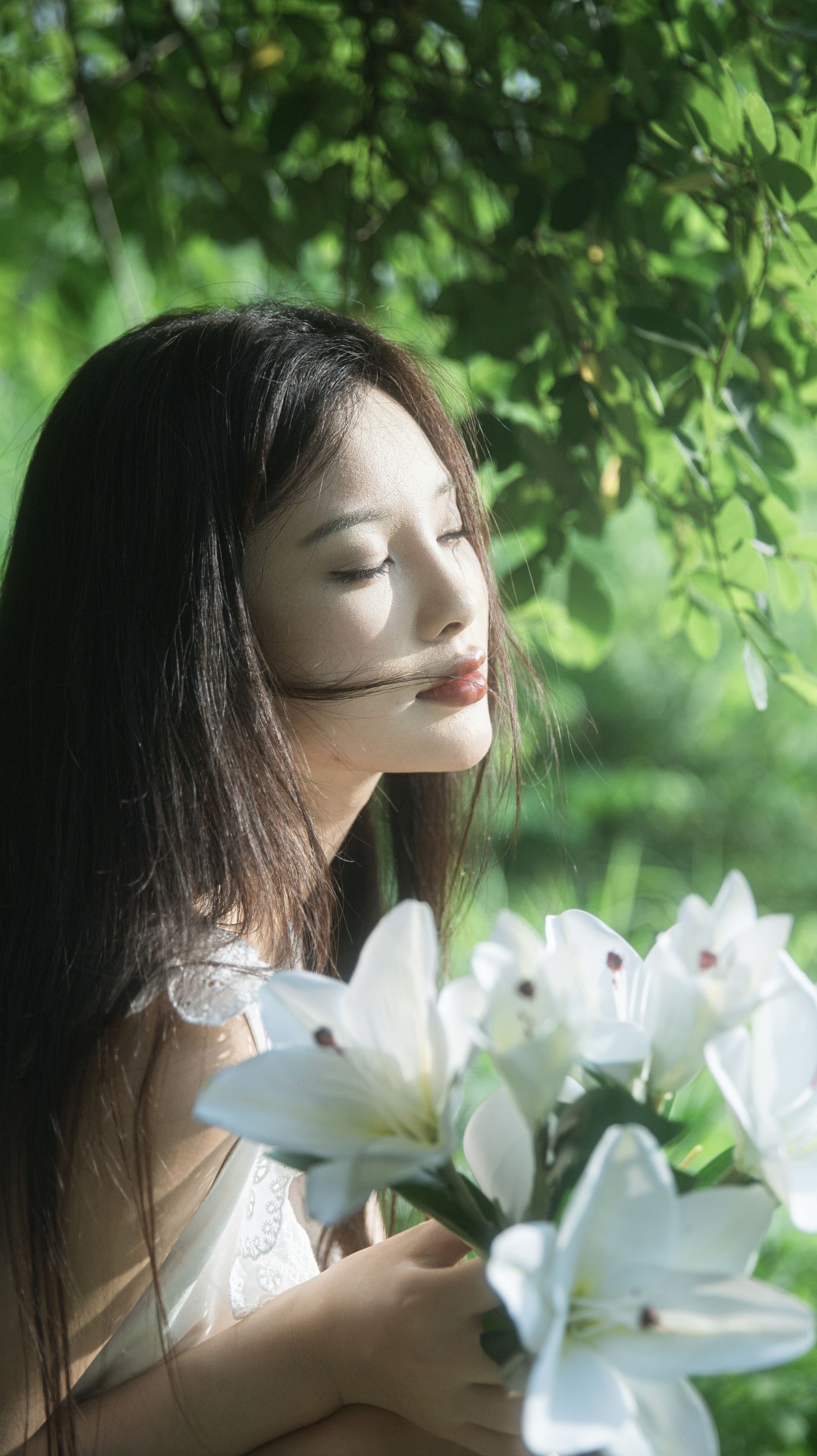 ID11287杜松混合茉莉的风 - 妍画集-妍画集