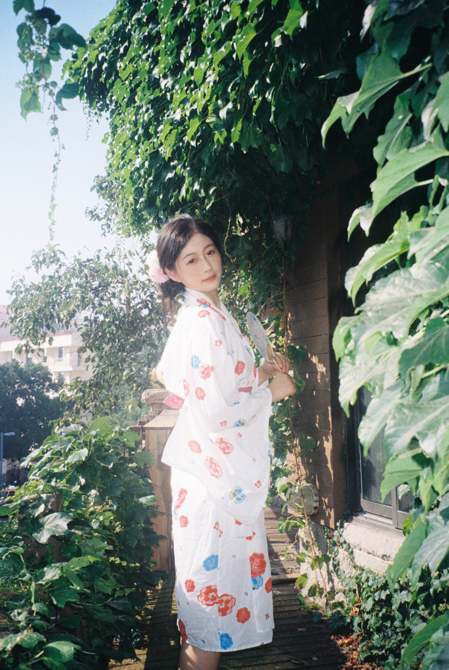 ID11297夏的风物诗 - 妍画集-妍画集