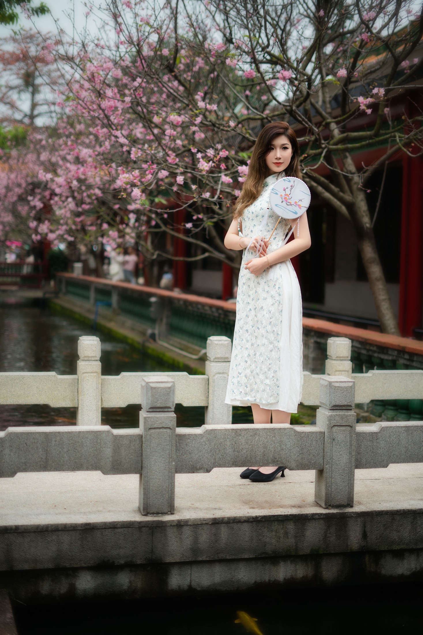 ID11083旗袍美女 - 妍画集-妍画集
