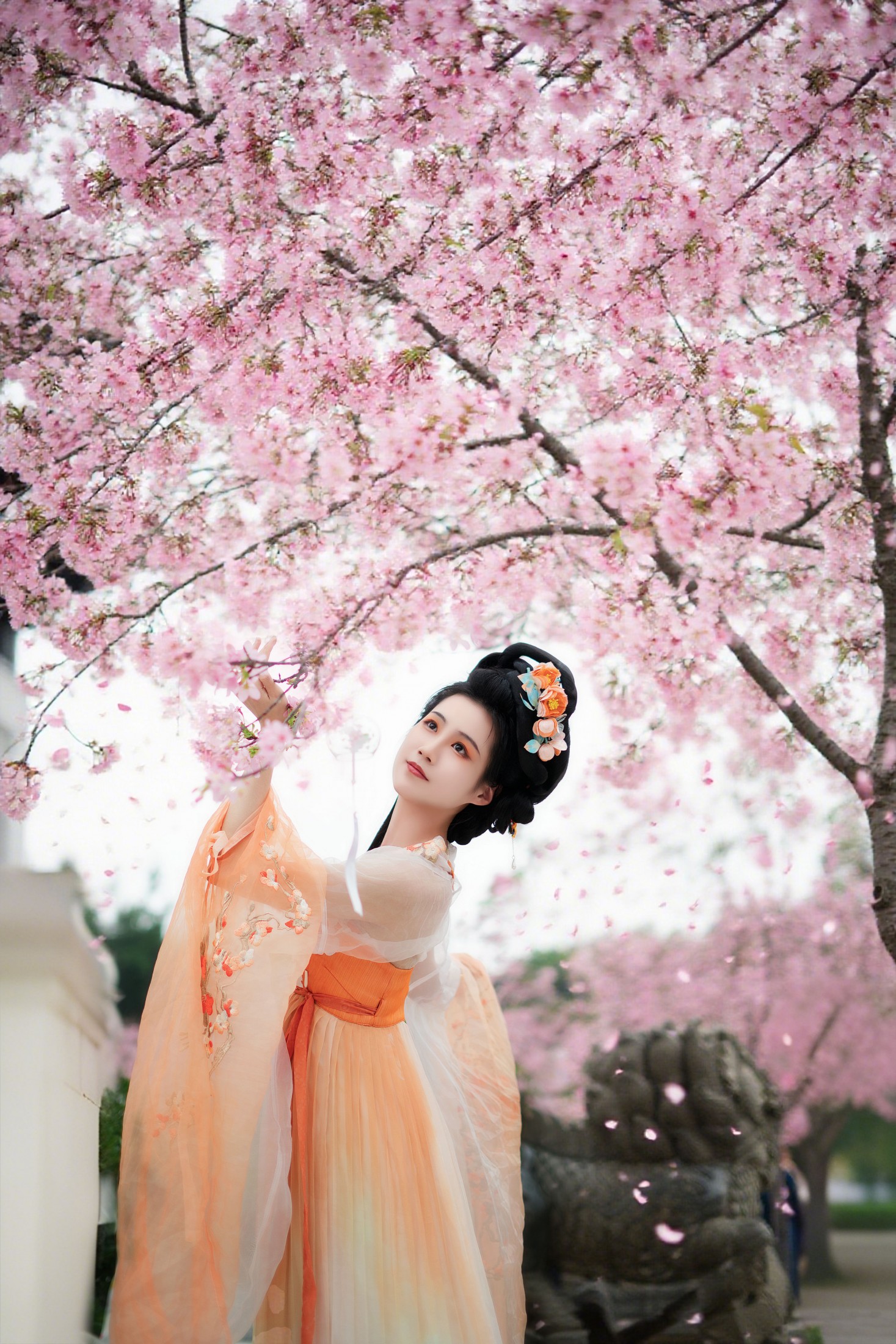 ID11107樱花树下 - 妍画集-妍画集