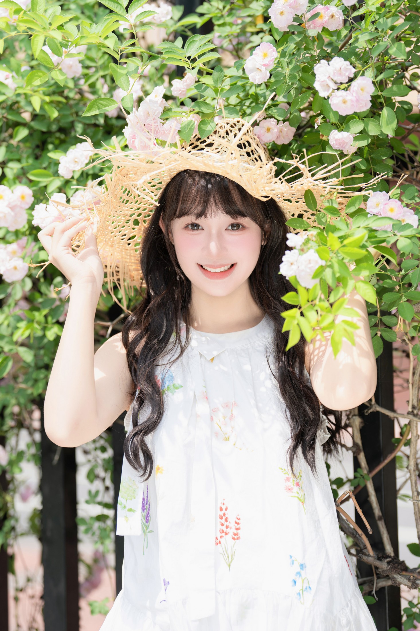 ID11447蔷薇花开 - 妍画集-妍画集