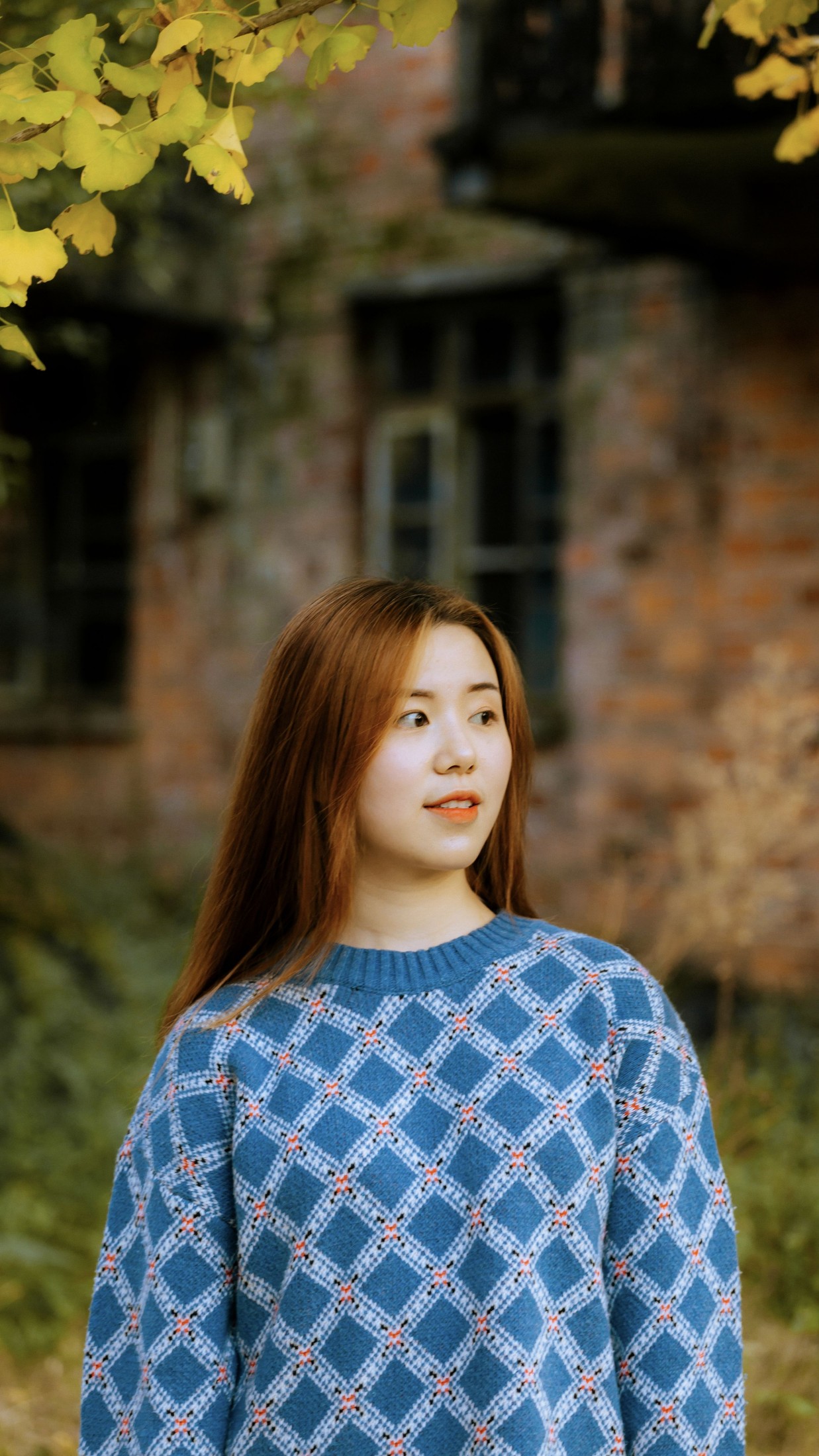 ID11244秋叶黄了 - 妍画集-妍画集