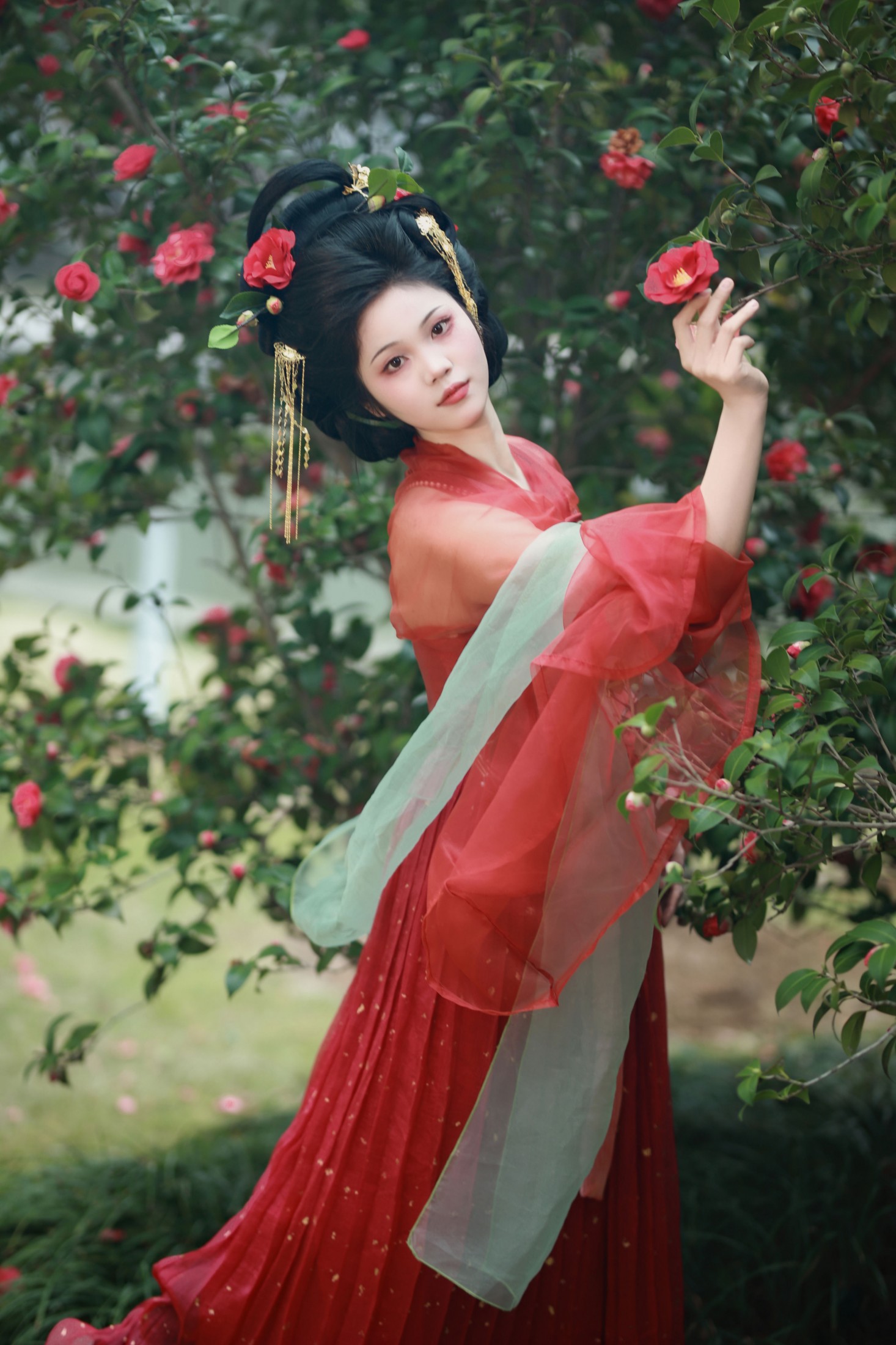 ID11466茶花与花魁 - 妍画集-妍画集