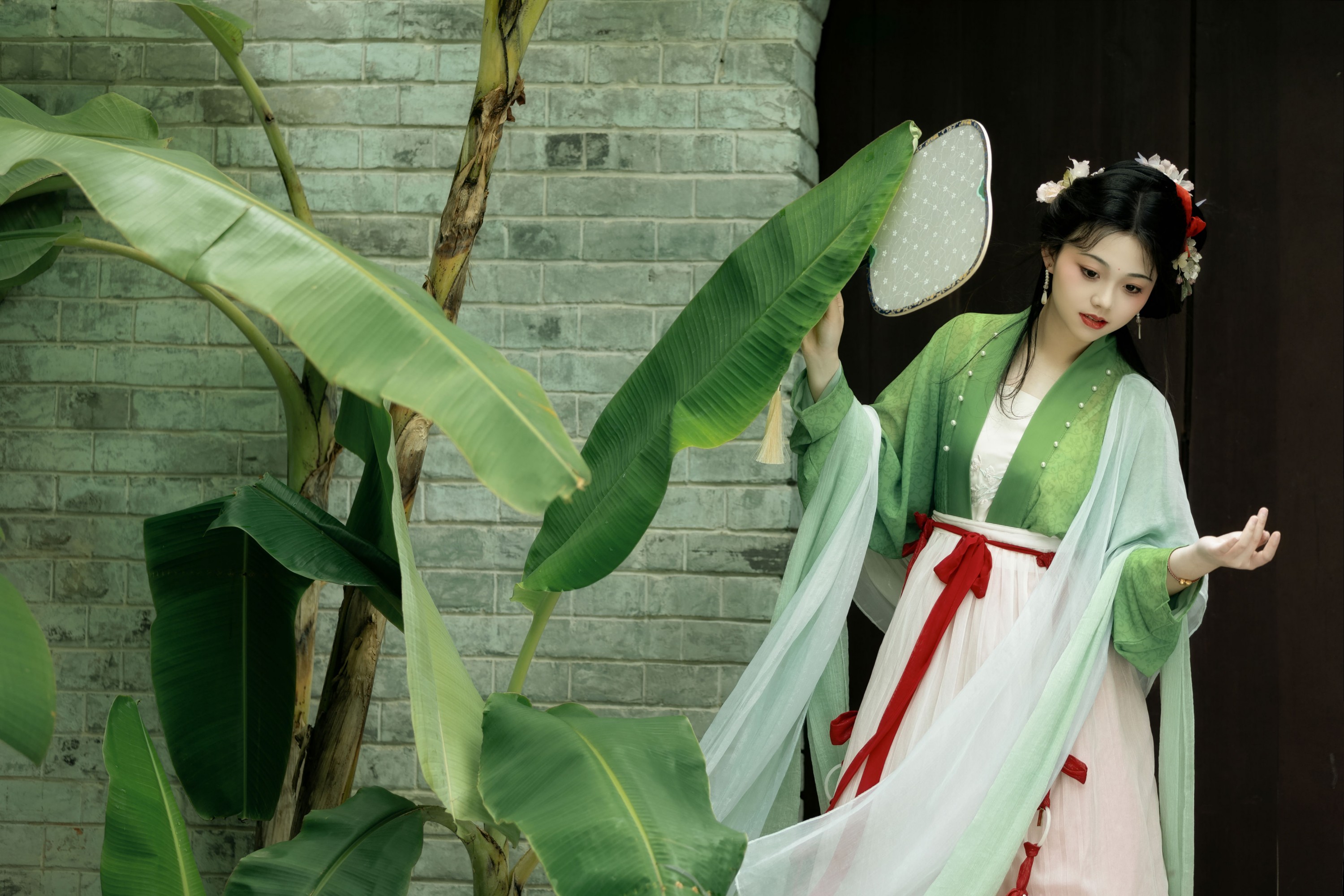 ID11508蕉叶潇潇 - 妍画集-妍画集