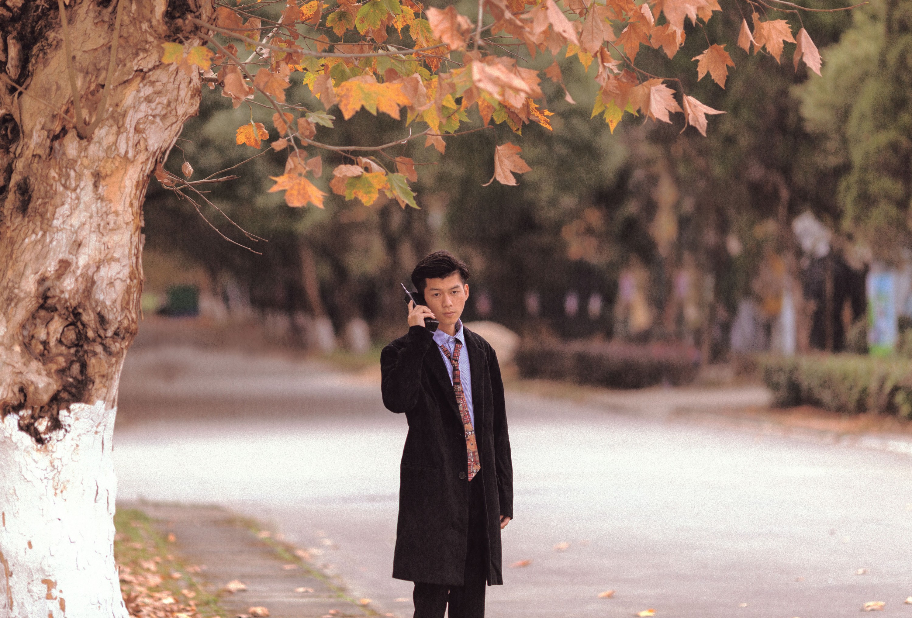 ID11299晚秋 - 妍画集-妍画集