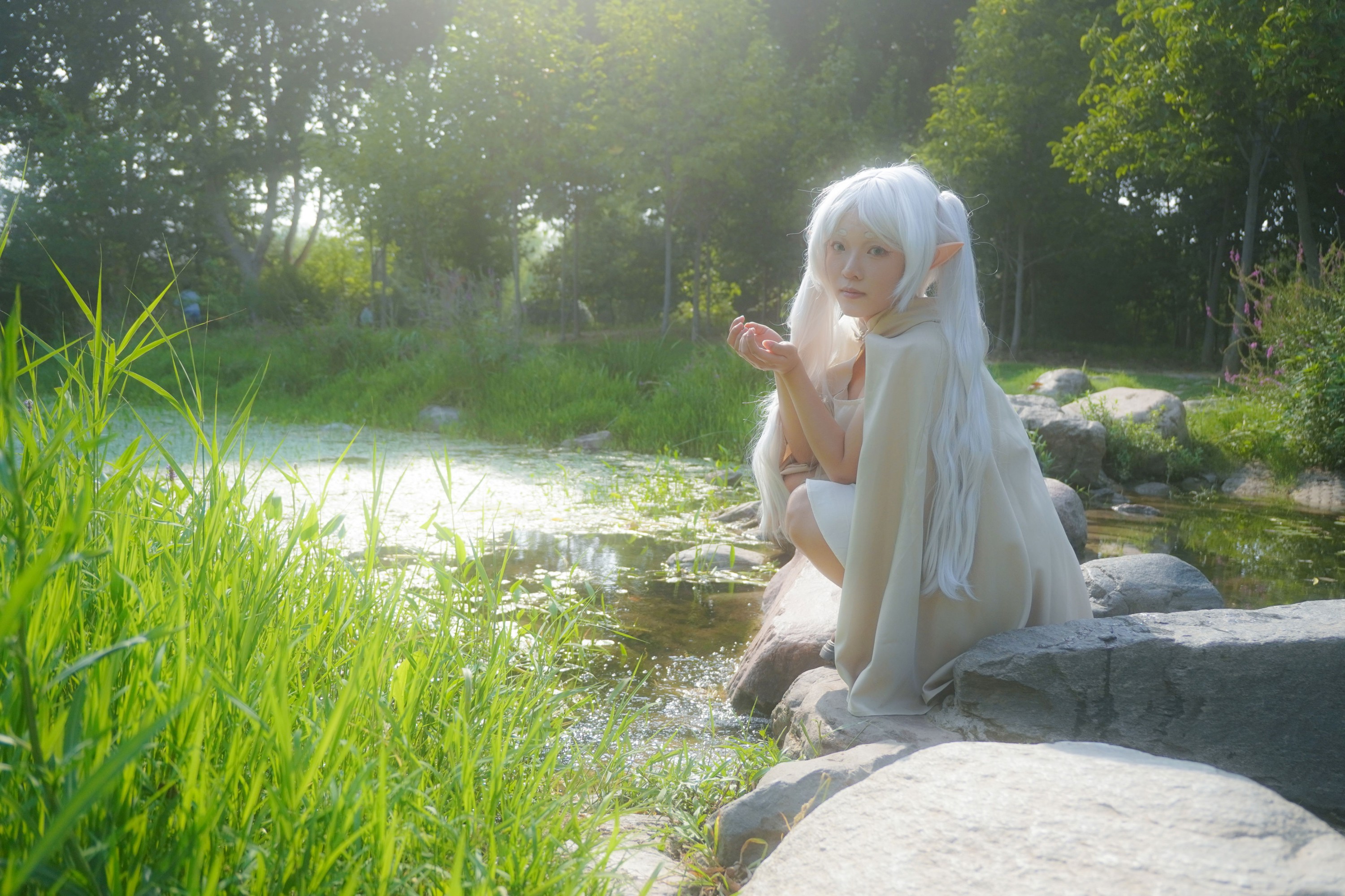 ID11552葬送的芙莉莲 - 妍画集-妍画集