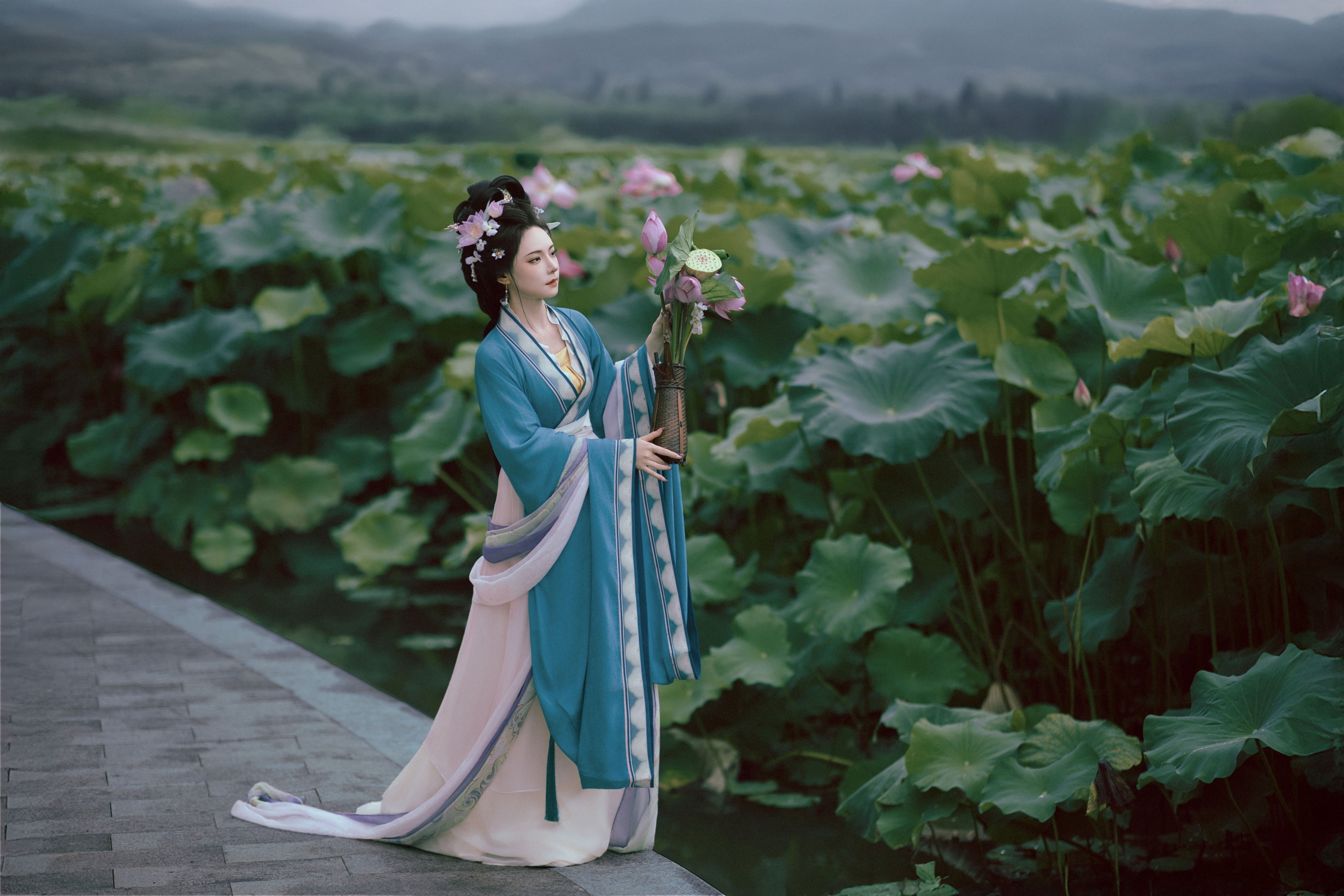 ID11524荷香 - 妍画集-妍画集