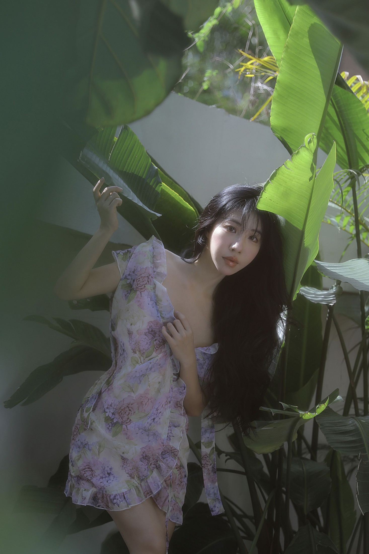ID11551夏 - 妍画集-妍画集