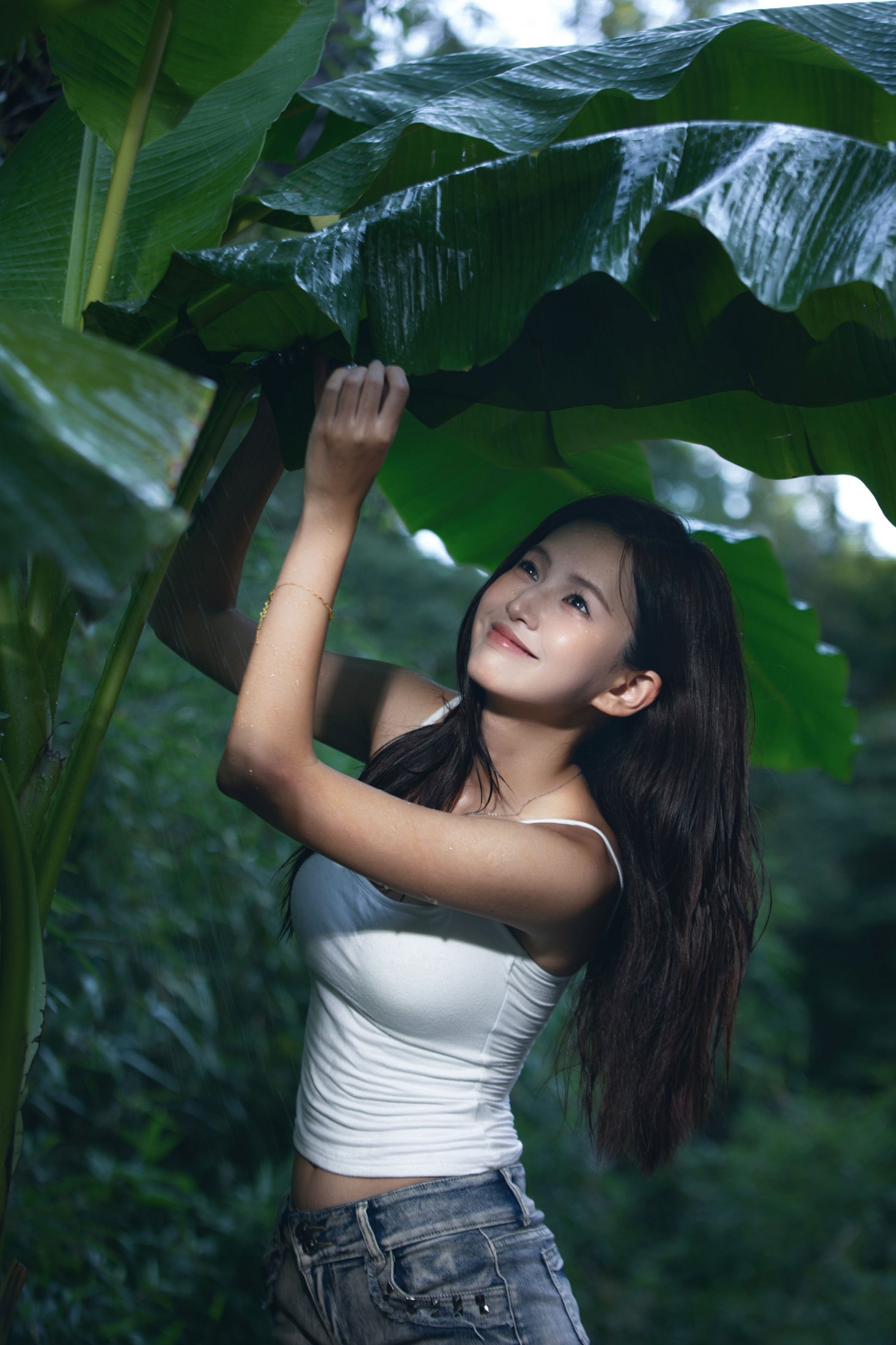 ID11602雨打芭蕉 - 妍画集-妍画集