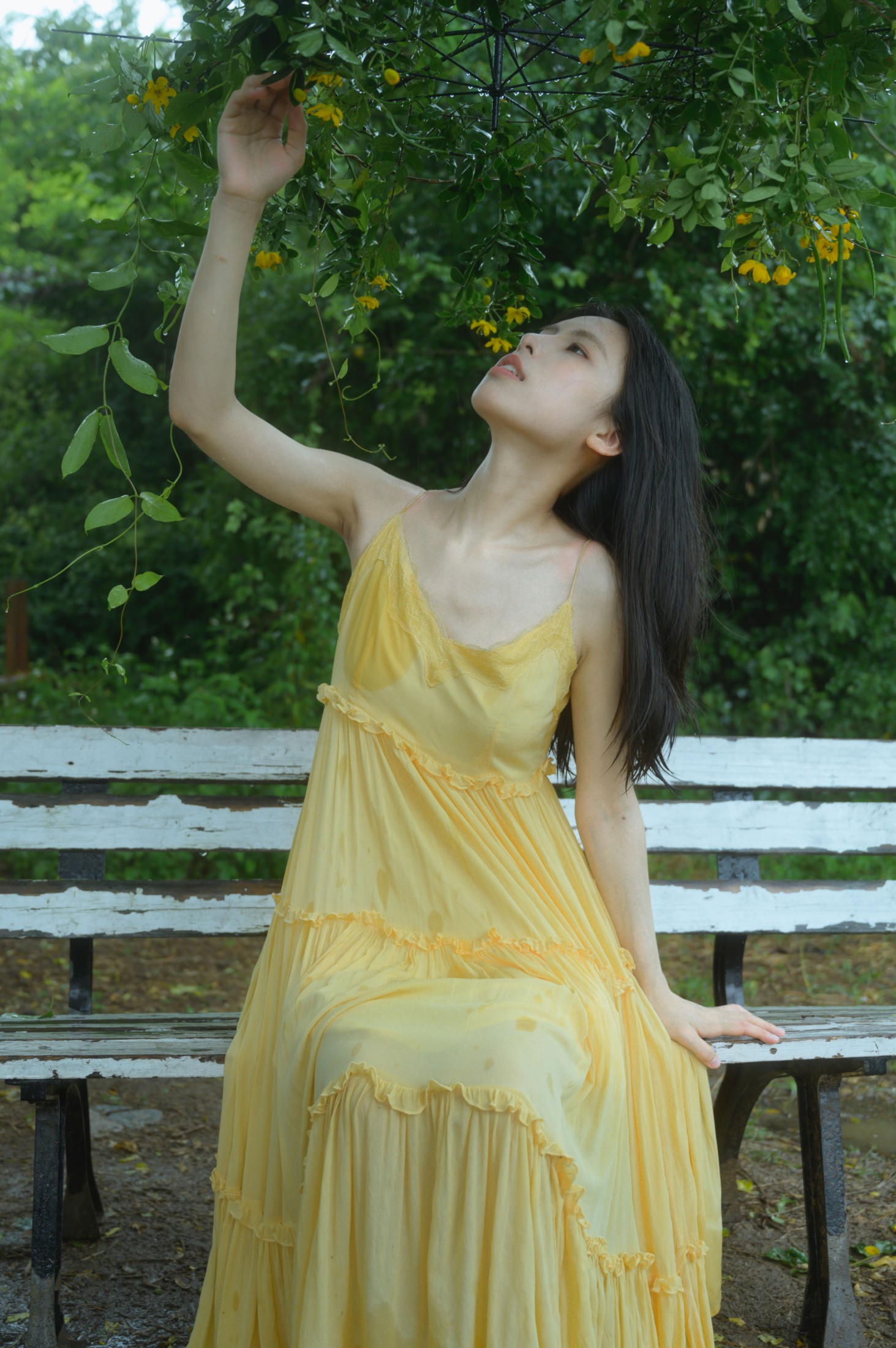 ID11574不如淋雨 - 妍画集-妍画集