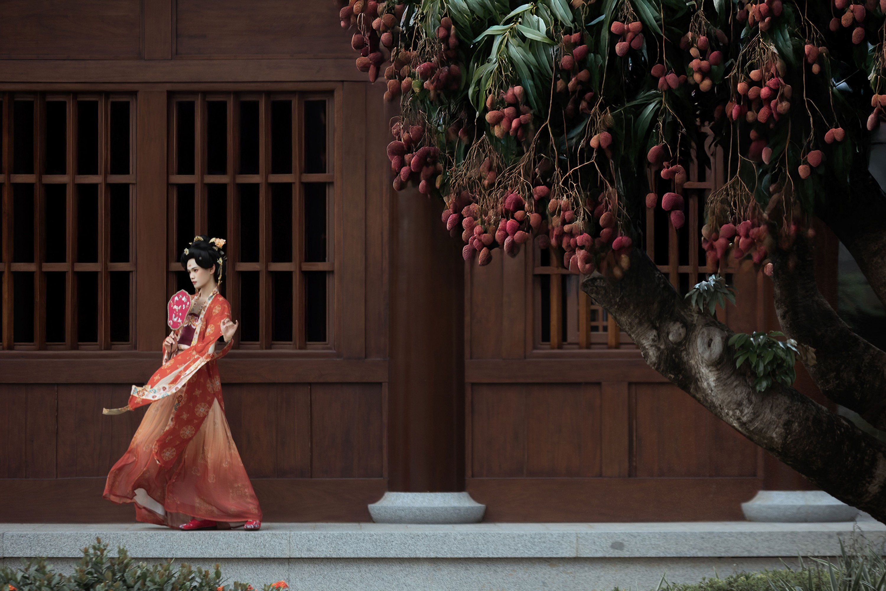 ID11527古寺荔枝 - 妍画集-妍画集
