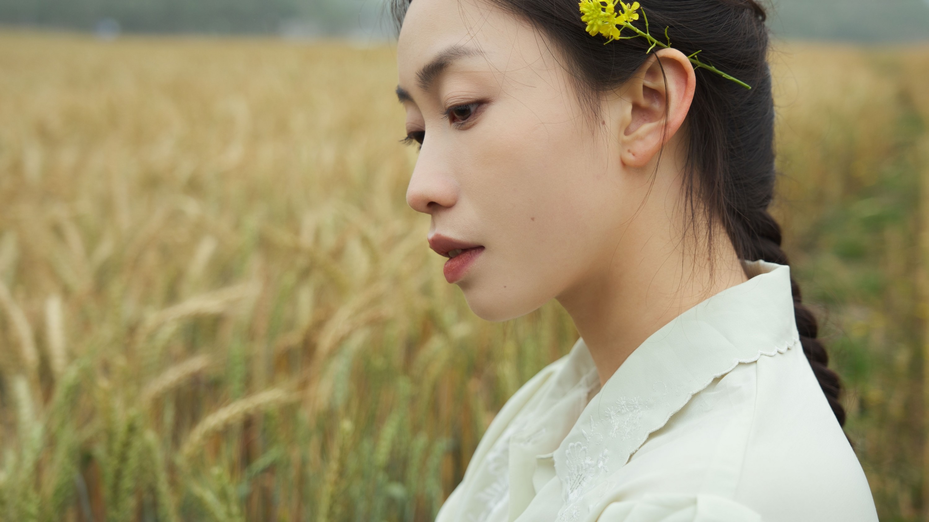 ID11575麦田的守望者 - 妍画集-妍画集