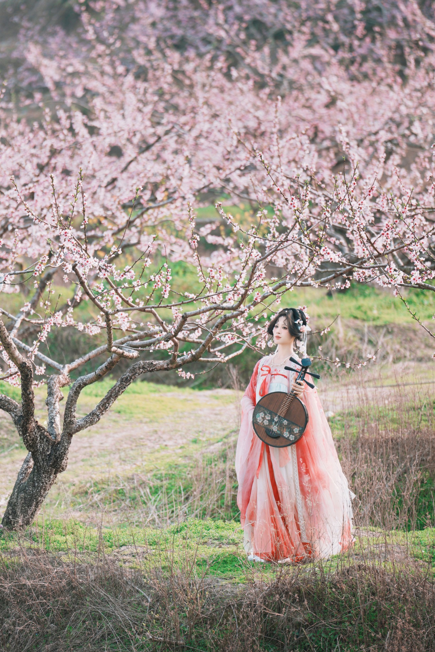 ID11343古风桃花人像 - 妍画集-妍画集