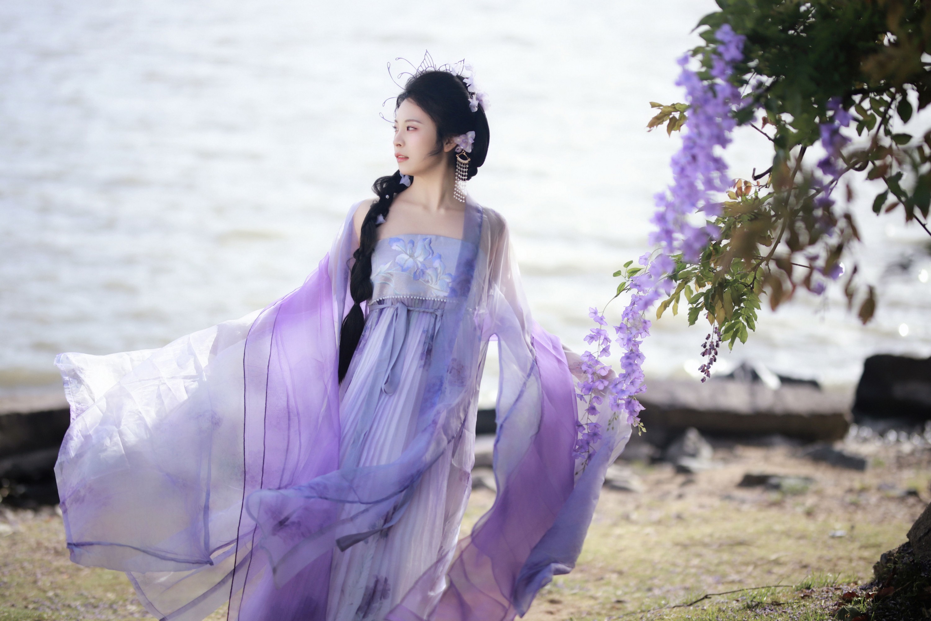 ID11611紫藤花开 - 妍画集-妍画集