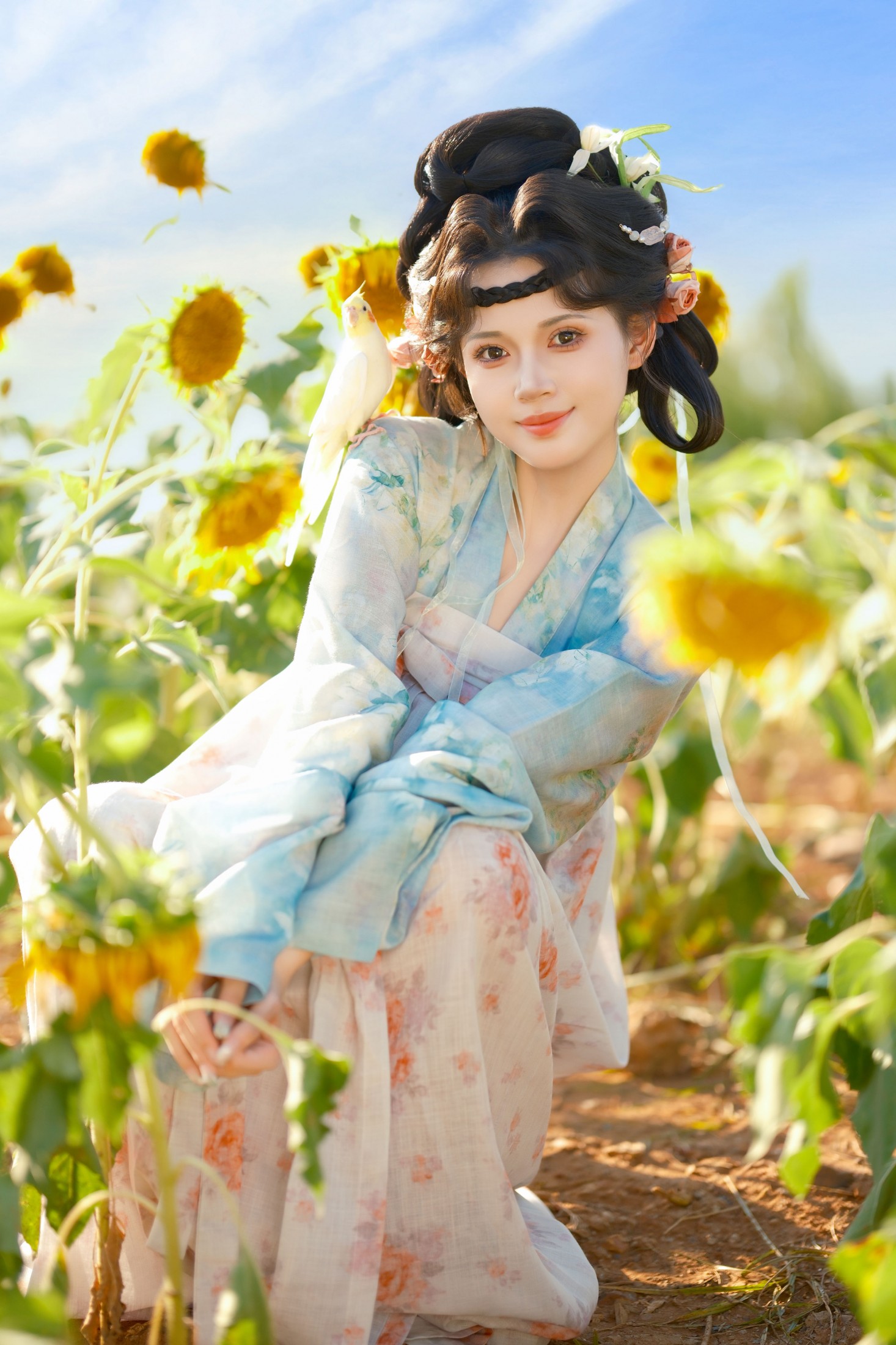 ID11623向日葵少女 - 妍画集-妍画集