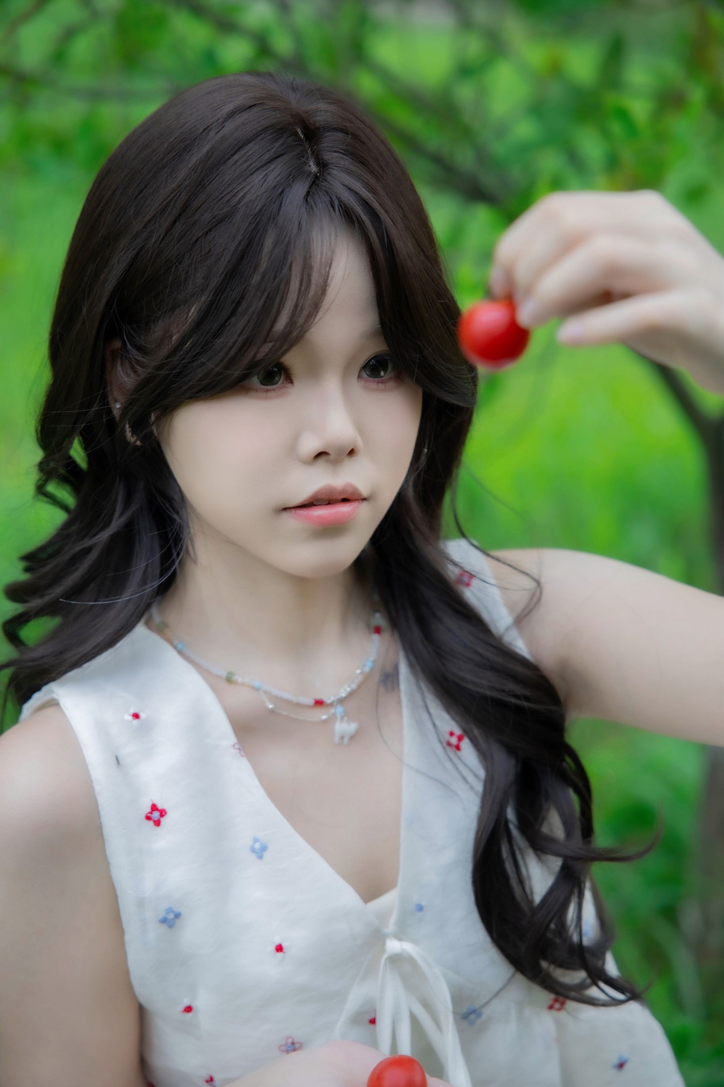 ID11665晴天里的圣女果 - 妍画集-妍画集