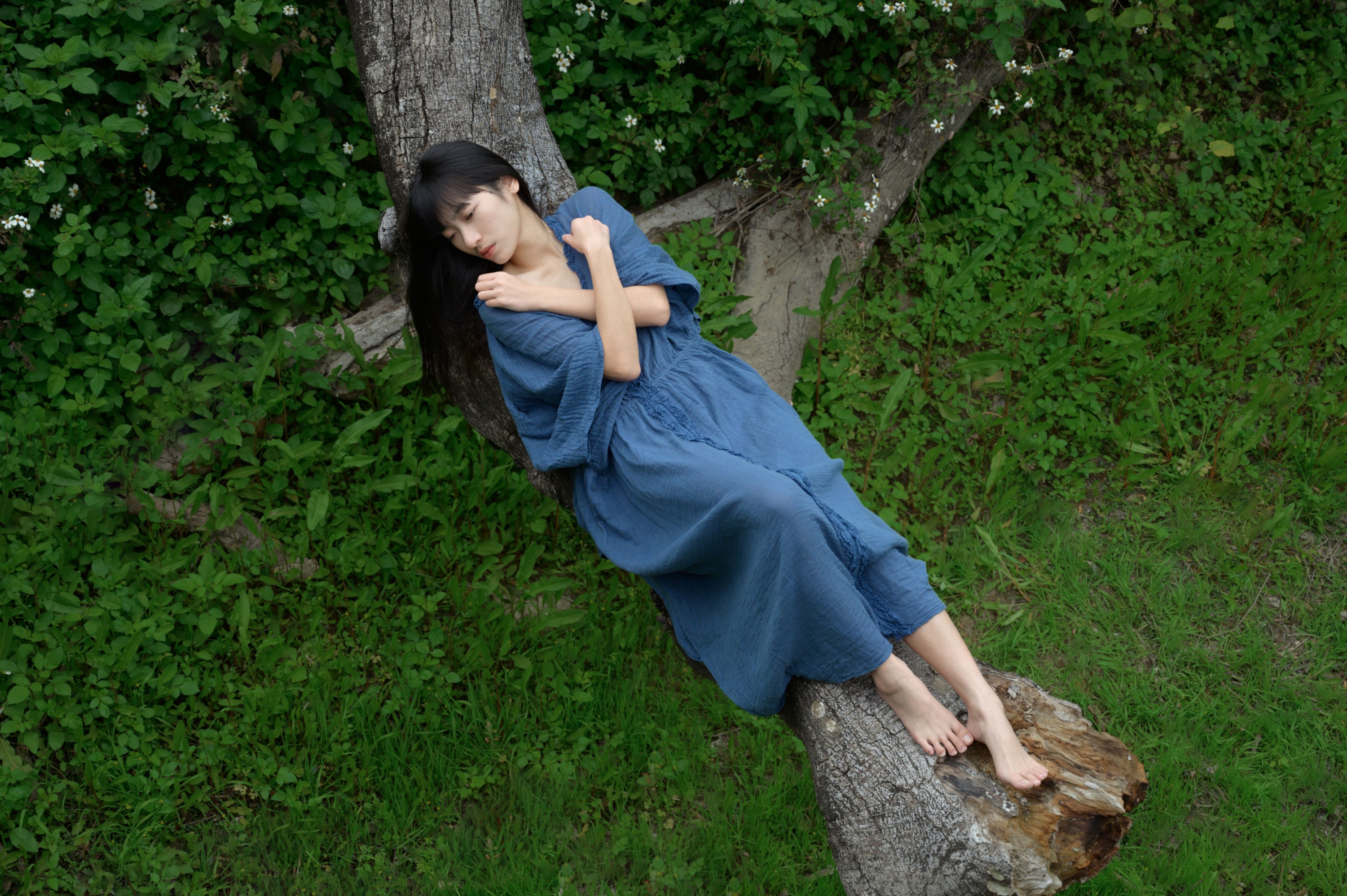 ID11581枯木逢春 - 妍画集-妍画集