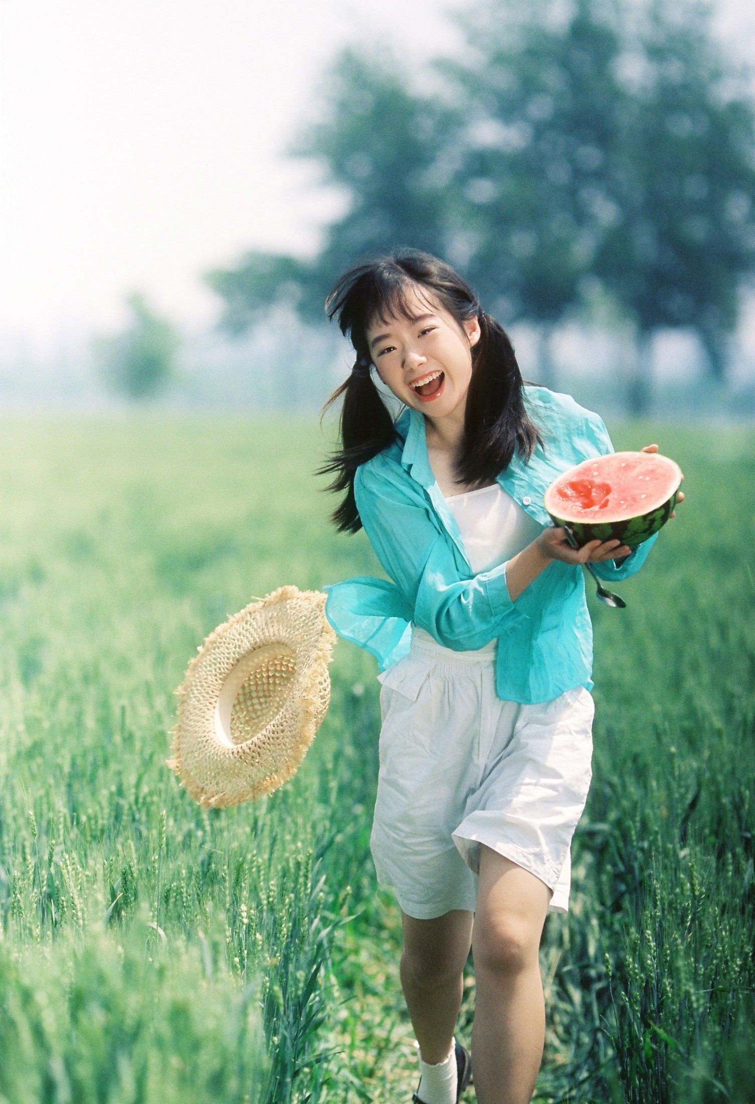 ID11637夏日稻田 - 妍画集-妍画集