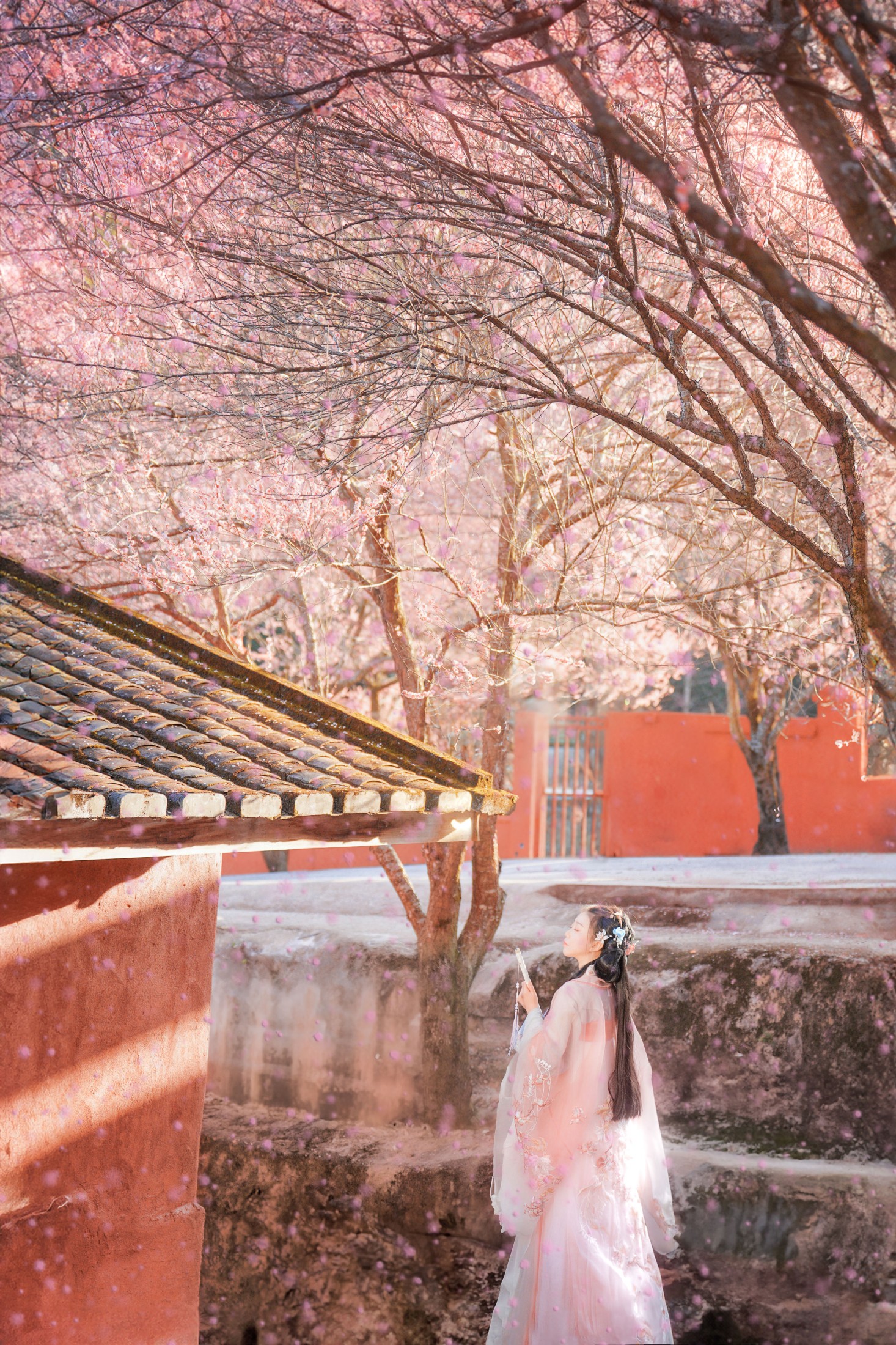 ID11353梅花古风人像拍摄 - 妍画集-妍画集