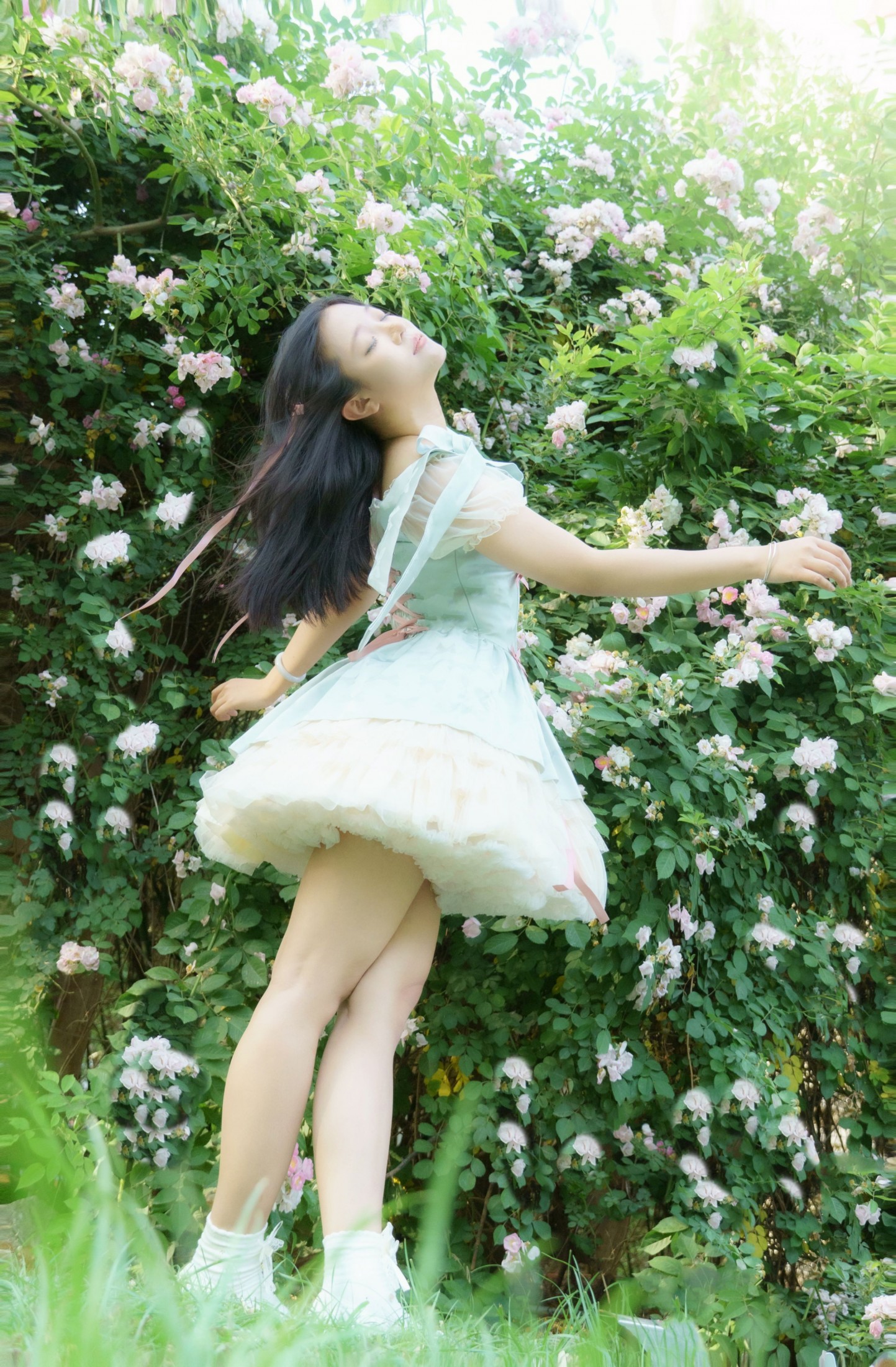 ID11720蔷薇之夏 - 妍画集-妍画集