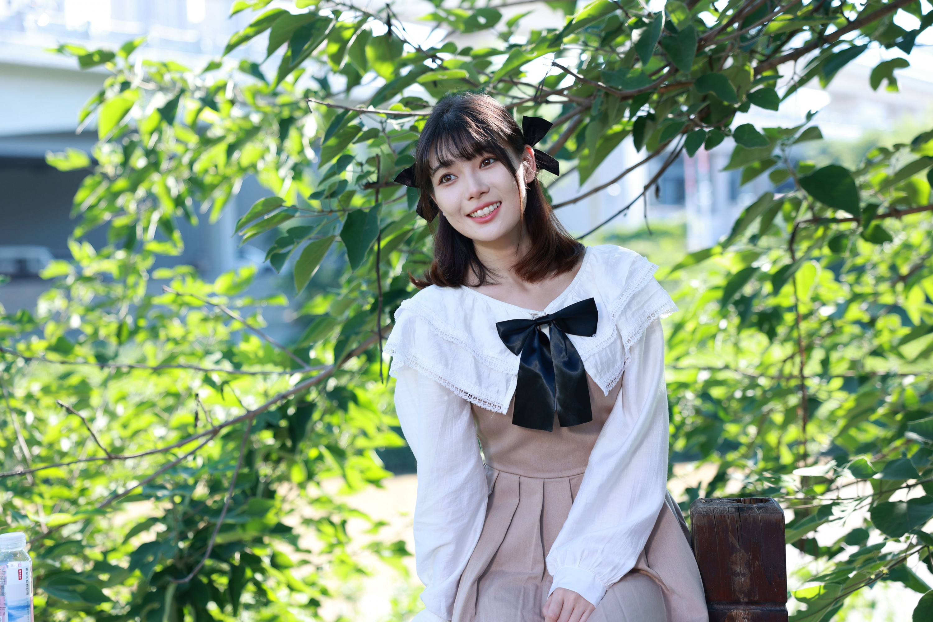 ID11726夏日小清新 - 妍画集-妍画集