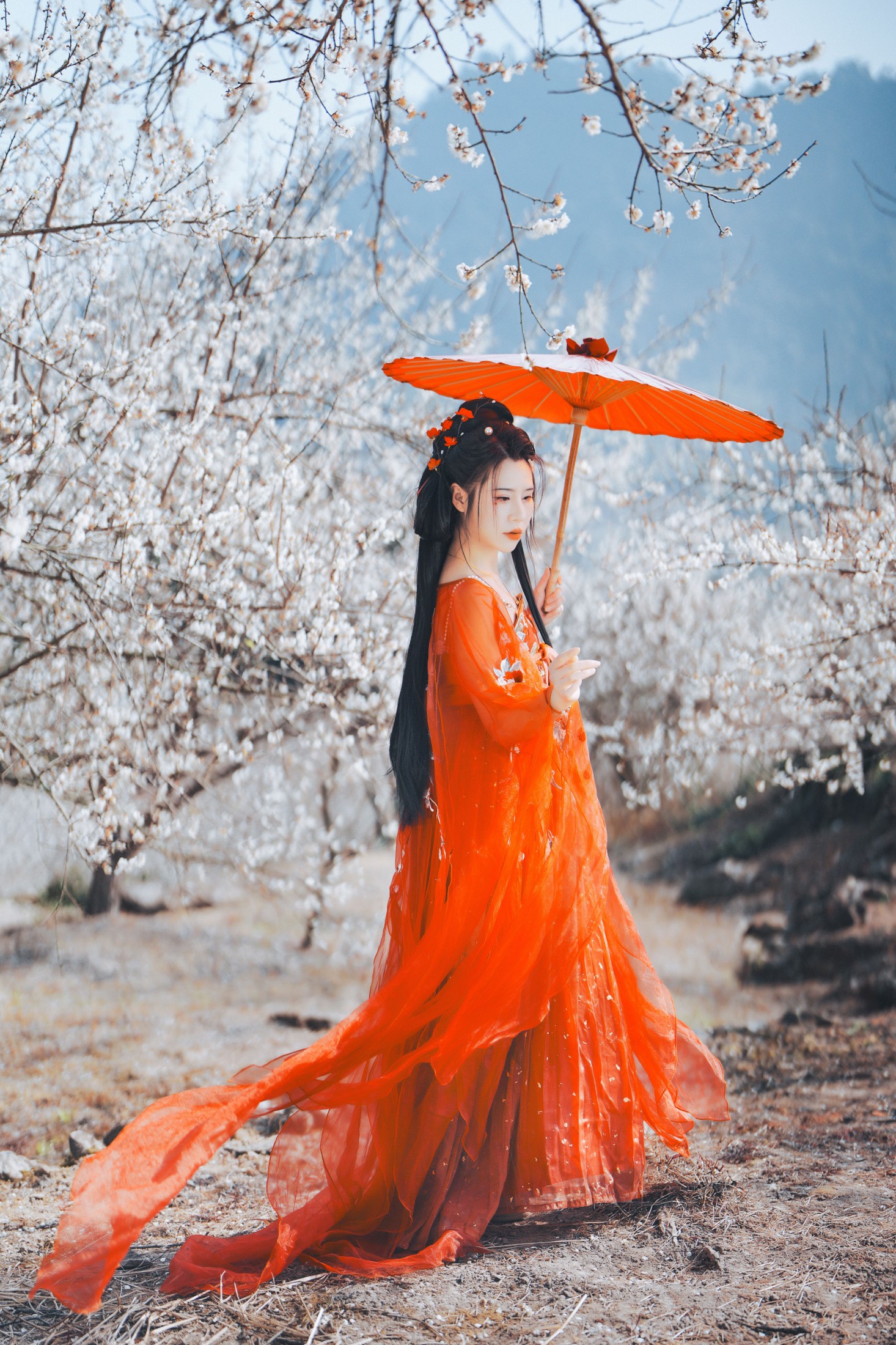 ID11356梅花古风人像拍摄 - 妍画集-妍画集