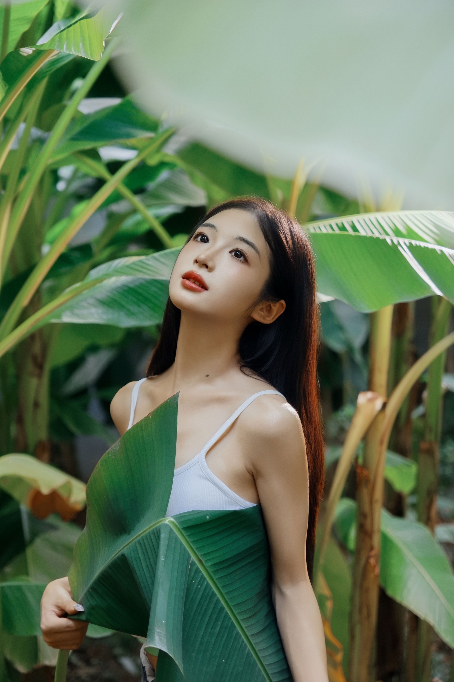 ID11750芭蕉叶下的邂逅 - 妍画集-妍画集