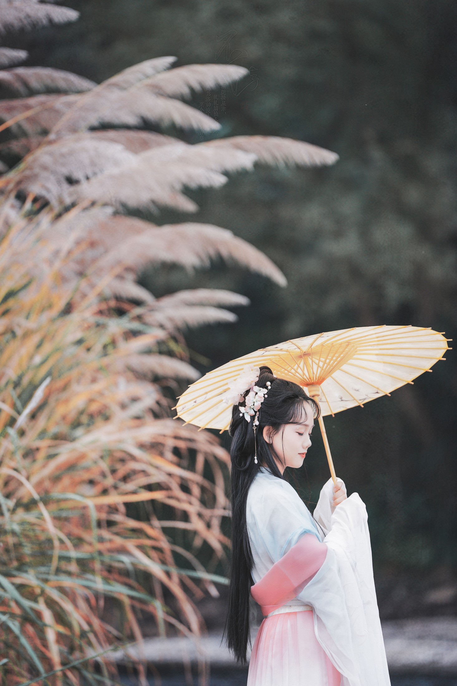 ID11364古风人像拍摄 - 妍画集-妍画集