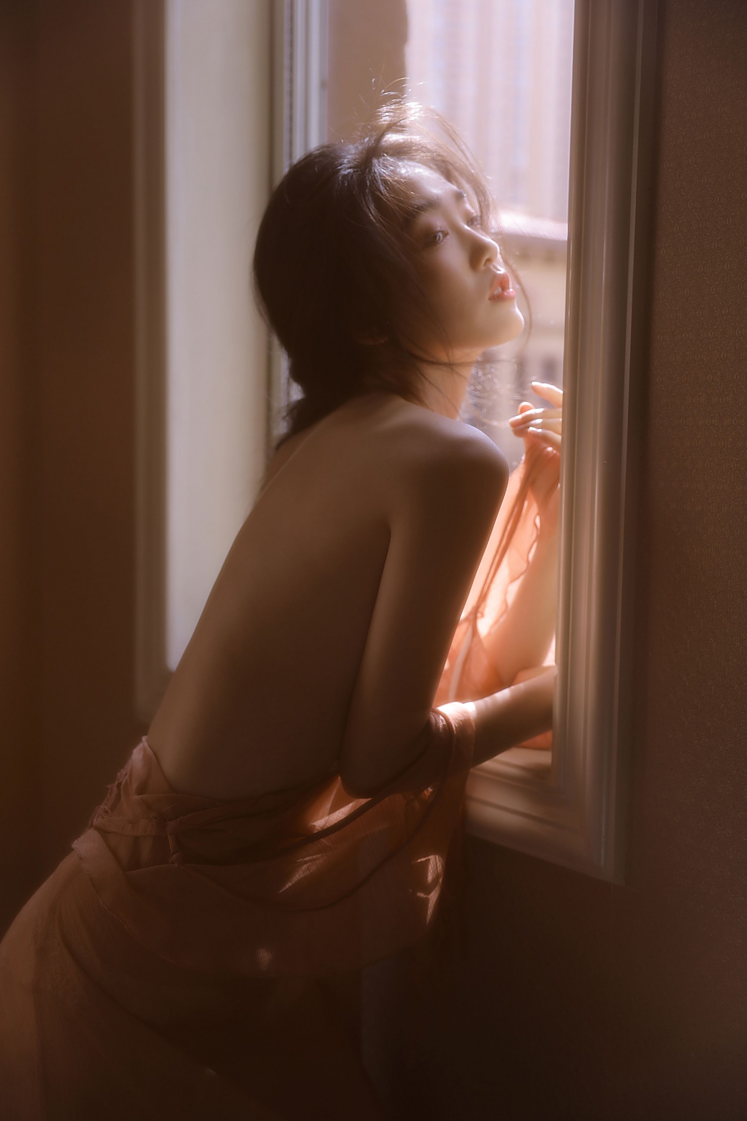 ID11844凌霄花绽放 - 妍画集-妍画集