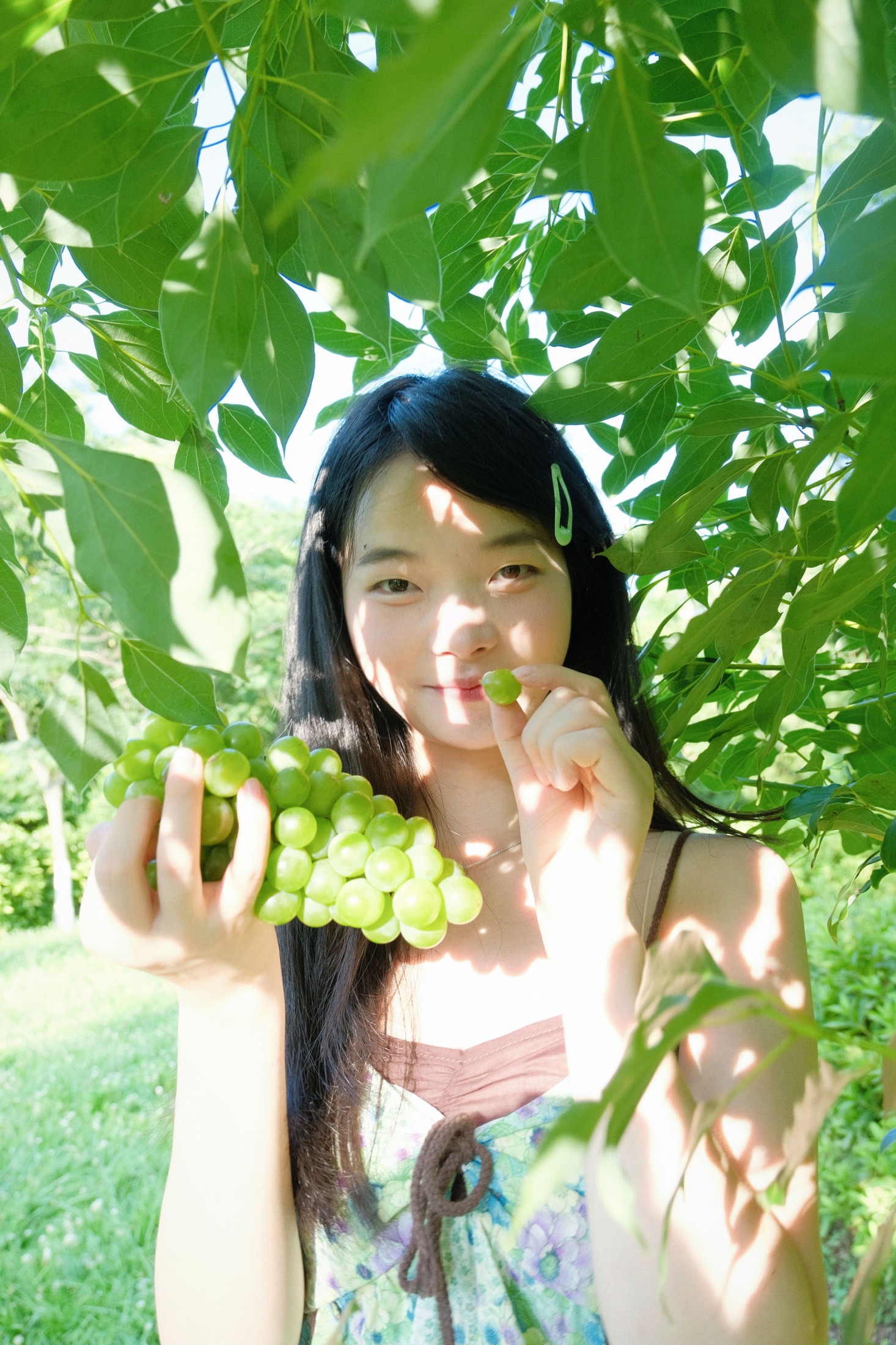 ID11905夏日青提 - 妍画集-妍画集