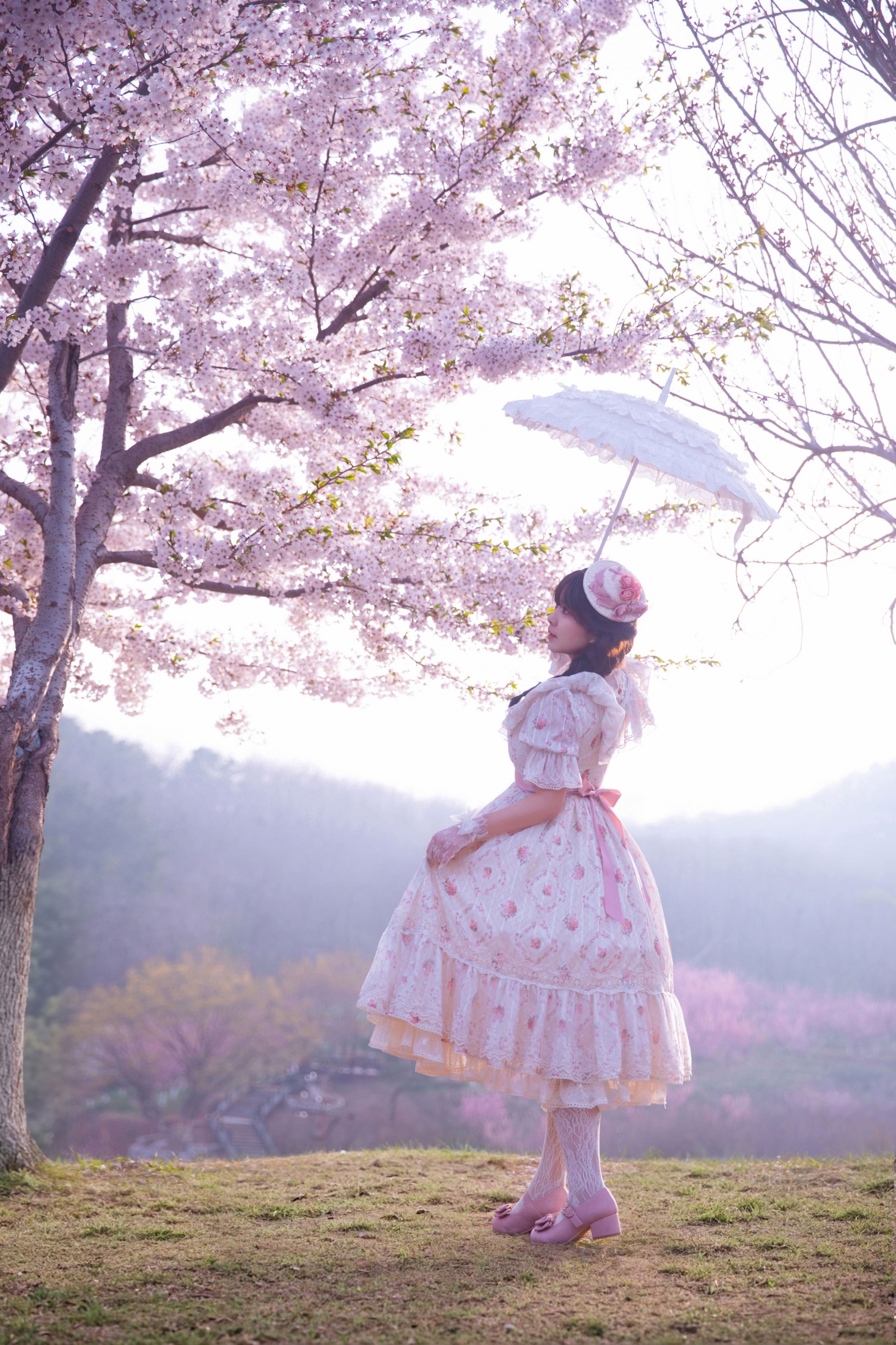 ID11924樱园洛丽塔：童话春境的少女诗 - 妍画集-妍画集