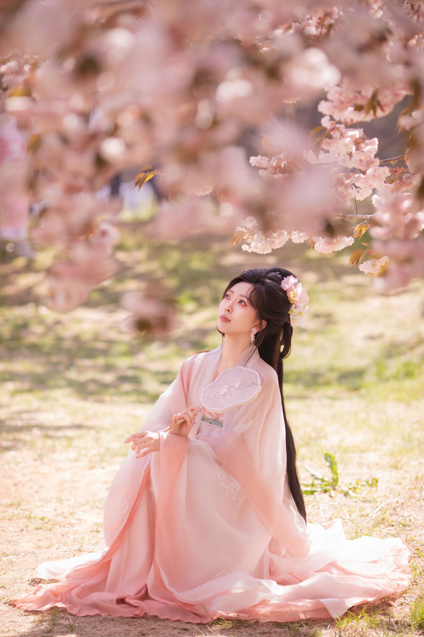 ID12044樱园赋·国风少女与花共眠 - 妍画集-妍画集