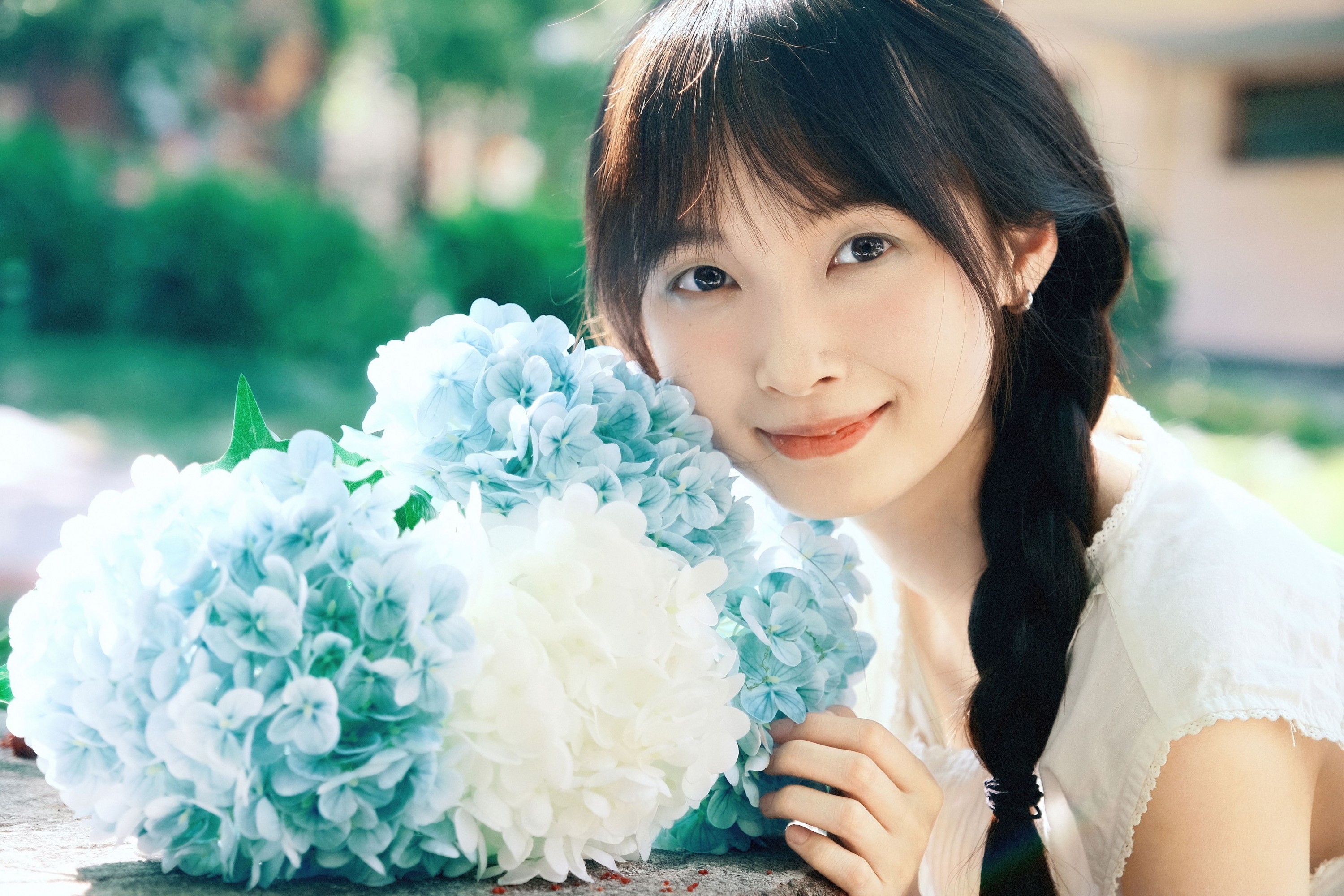 ID12023绣球 - 妍画集-妍画集