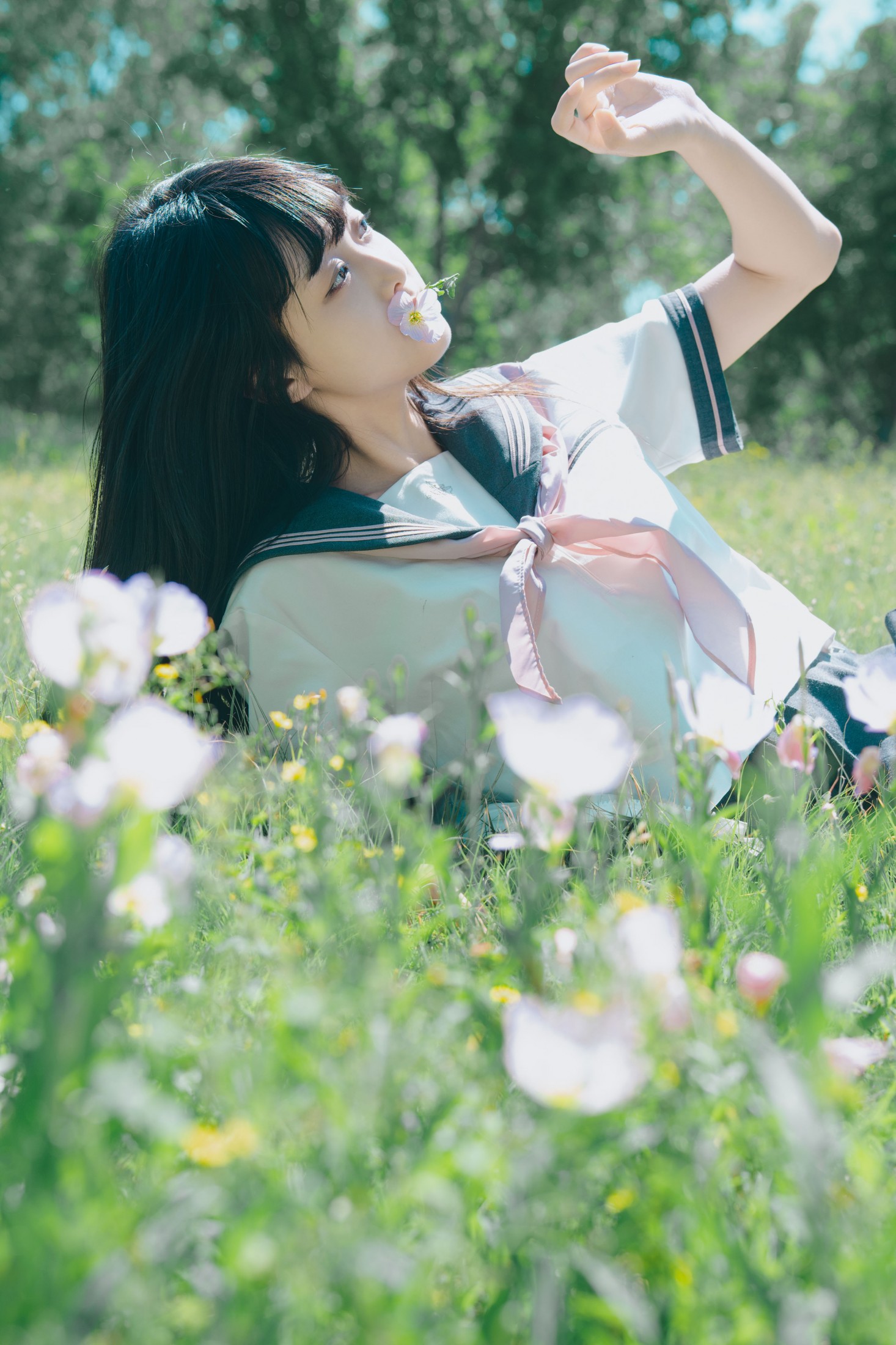 ID12061幻境月见草之梦 - 妍画集-妍画集