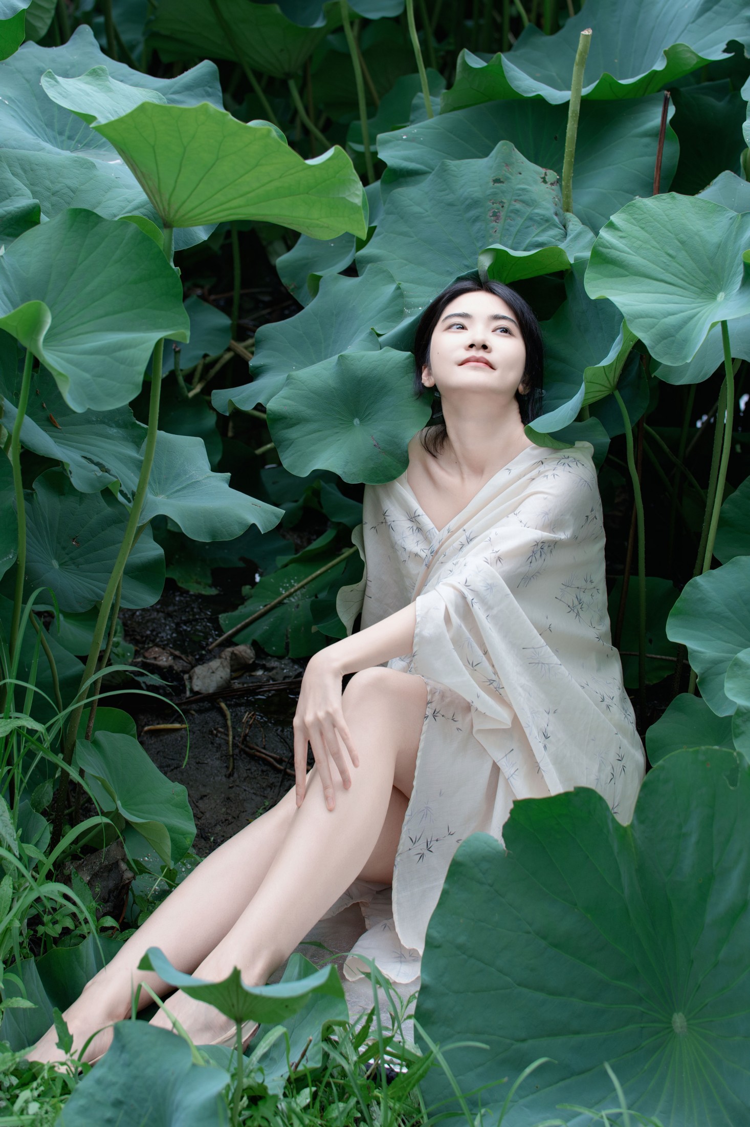 ID12072夏荷之殇 - 妍画集-妍画集
