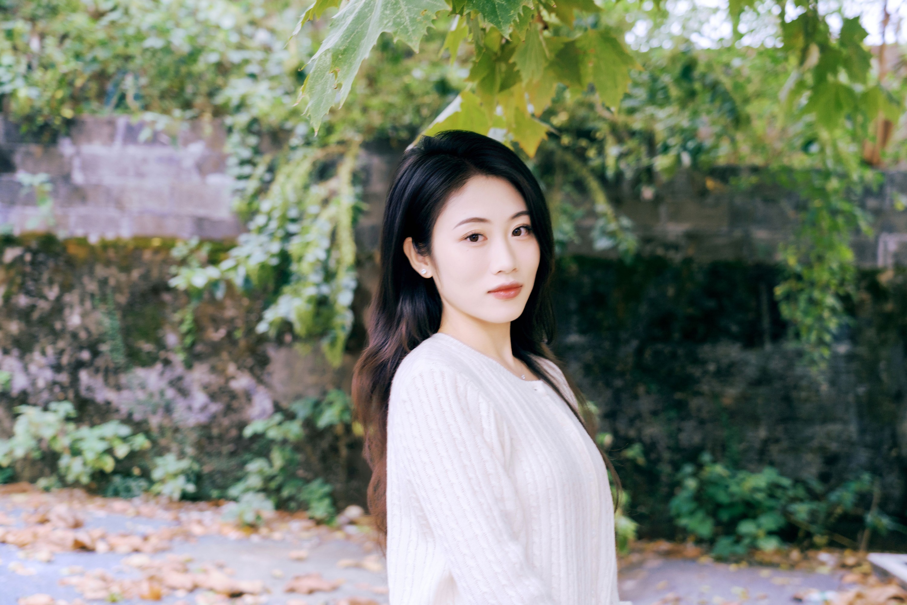 ID12124一叶知秋 - 妍画集-妍画集