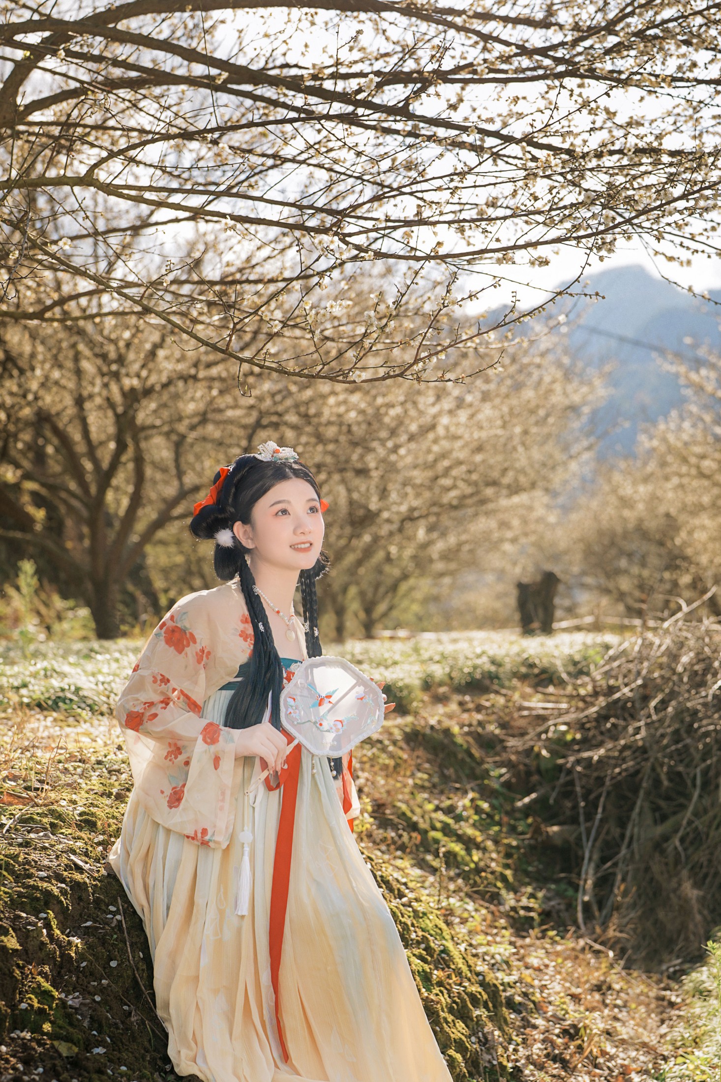 ID11411古风人像拍摄-梅花-圆圆-妍画集