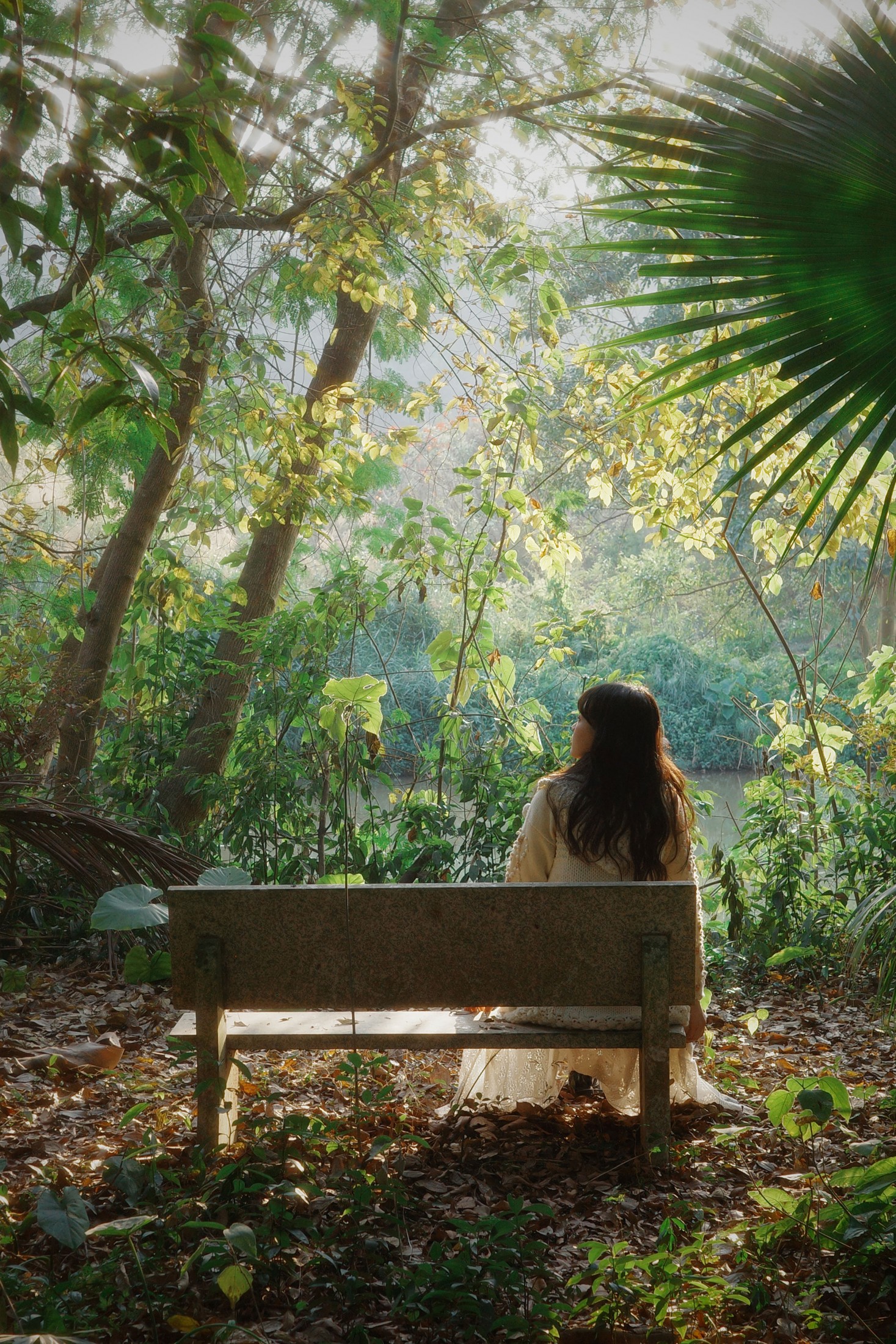  – 《森林梦核》[25P] 插图4