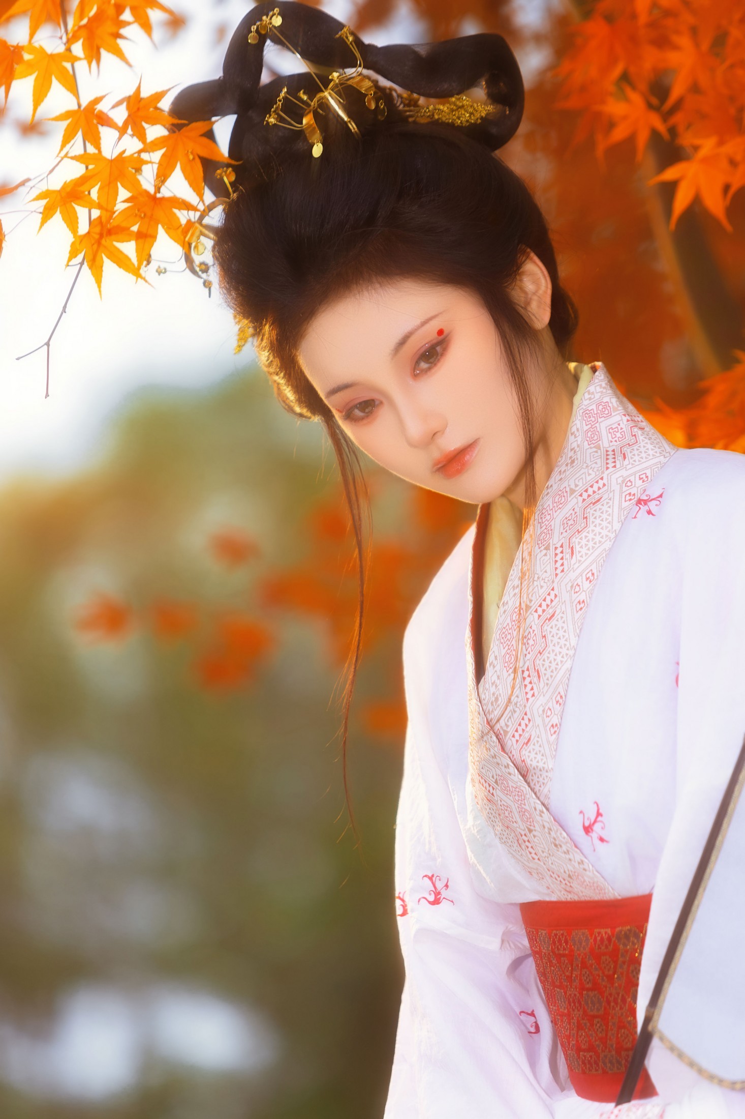 ID12167战国袍 • 红枫-妍画集