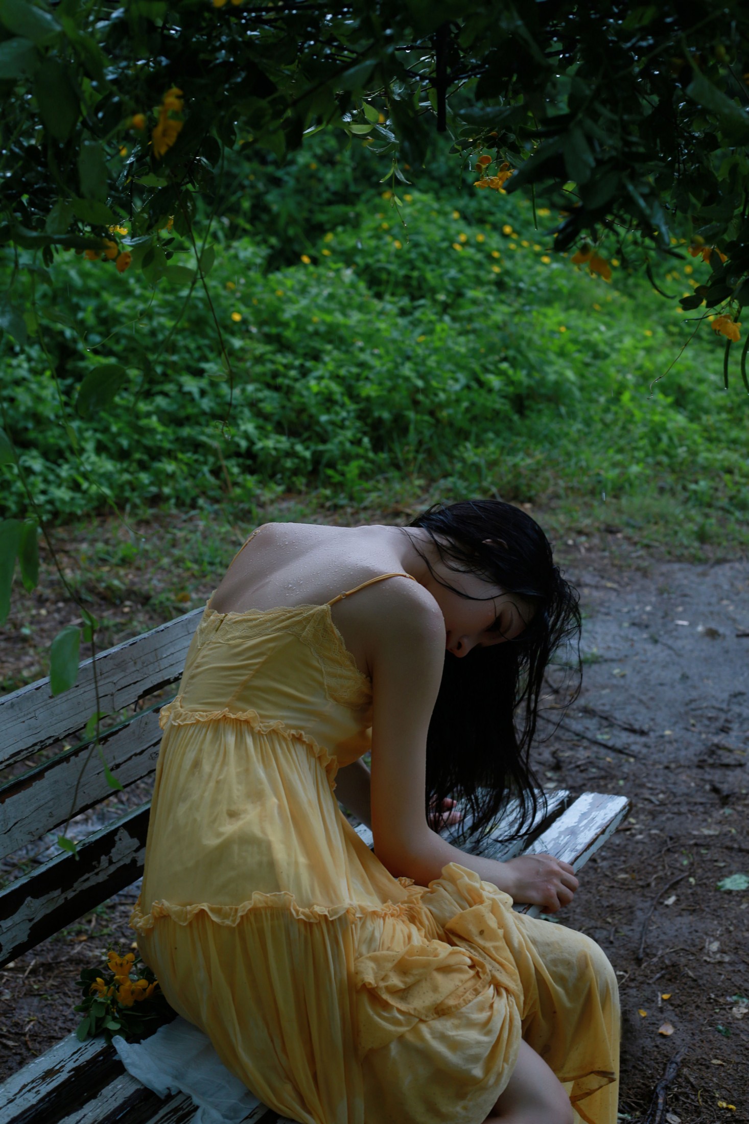 ID12337雨-妍画集