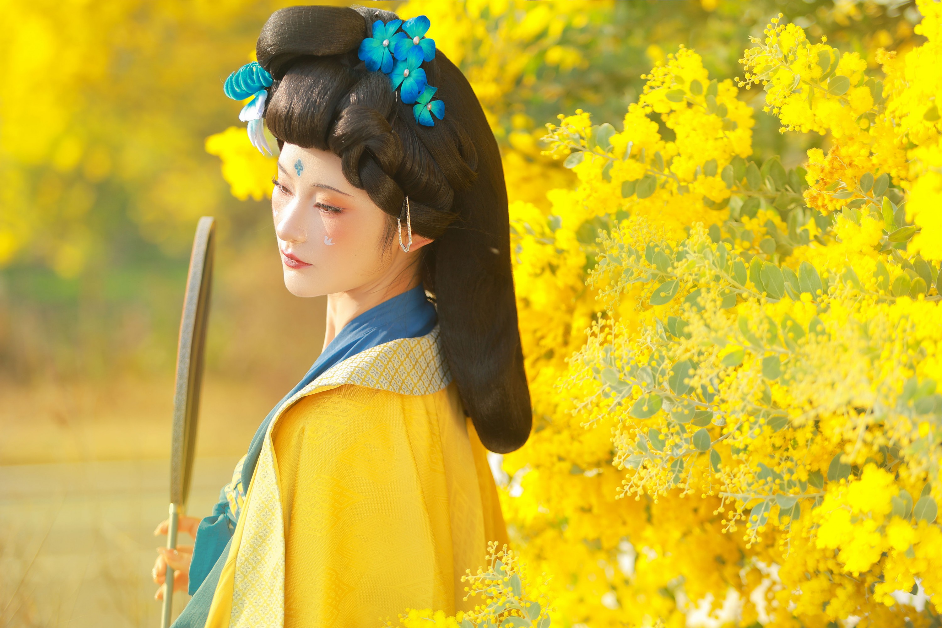 ID12170唐 • 金合欢-妍画集