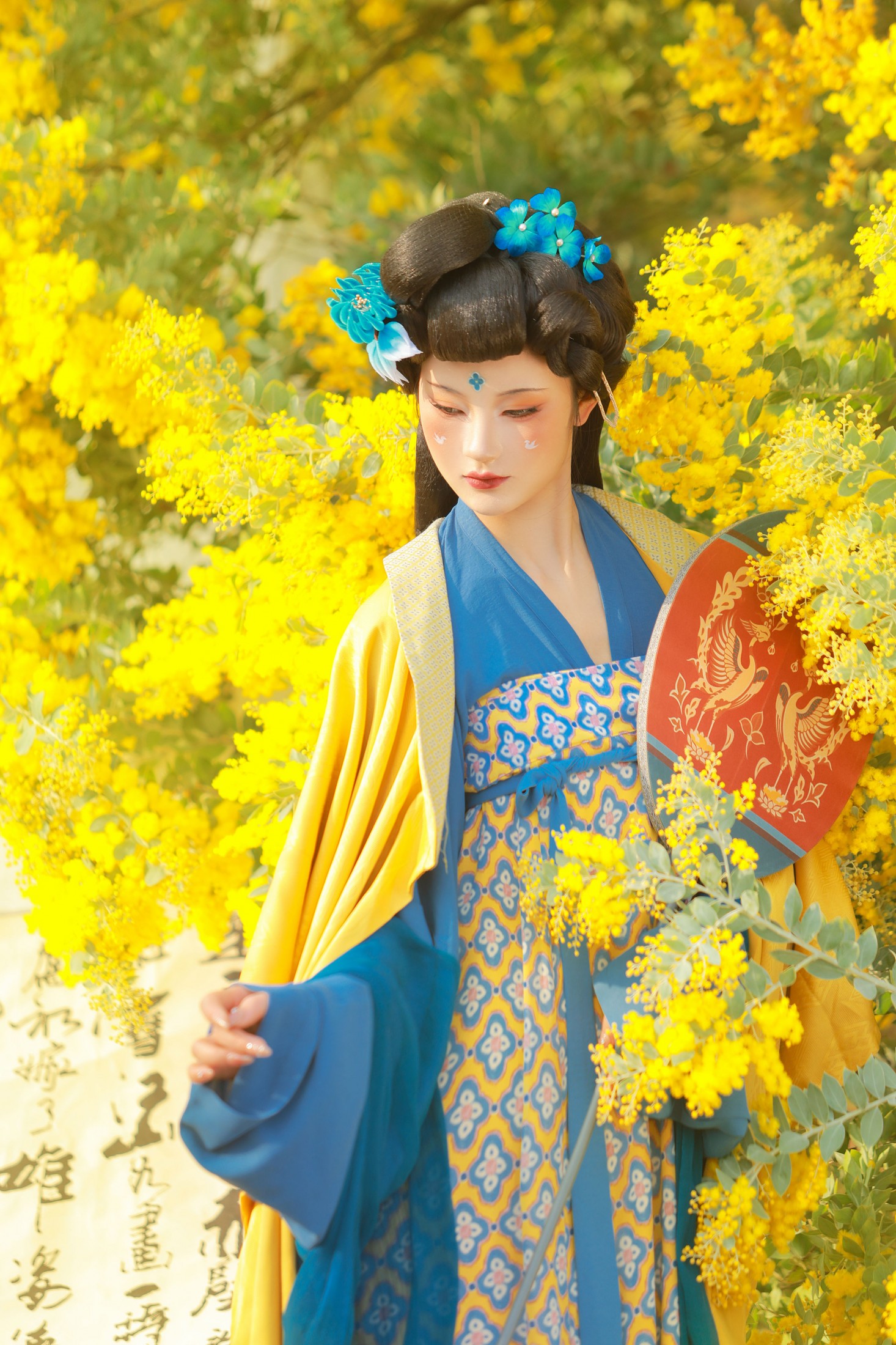 不听山 – 《唐 • 金合欢》[11P] 插图4