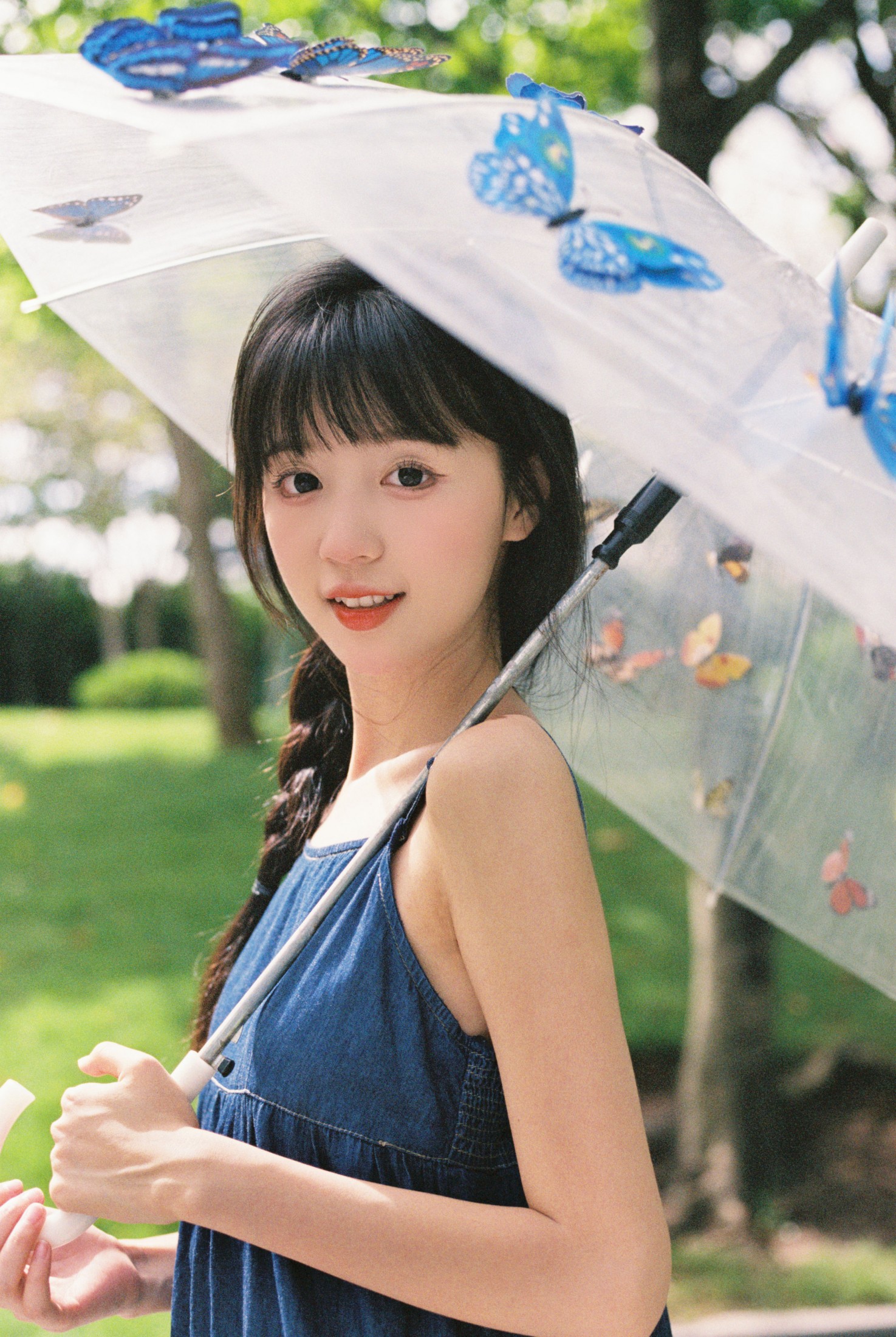 ID12324蓝色蝴蝶-妍画集