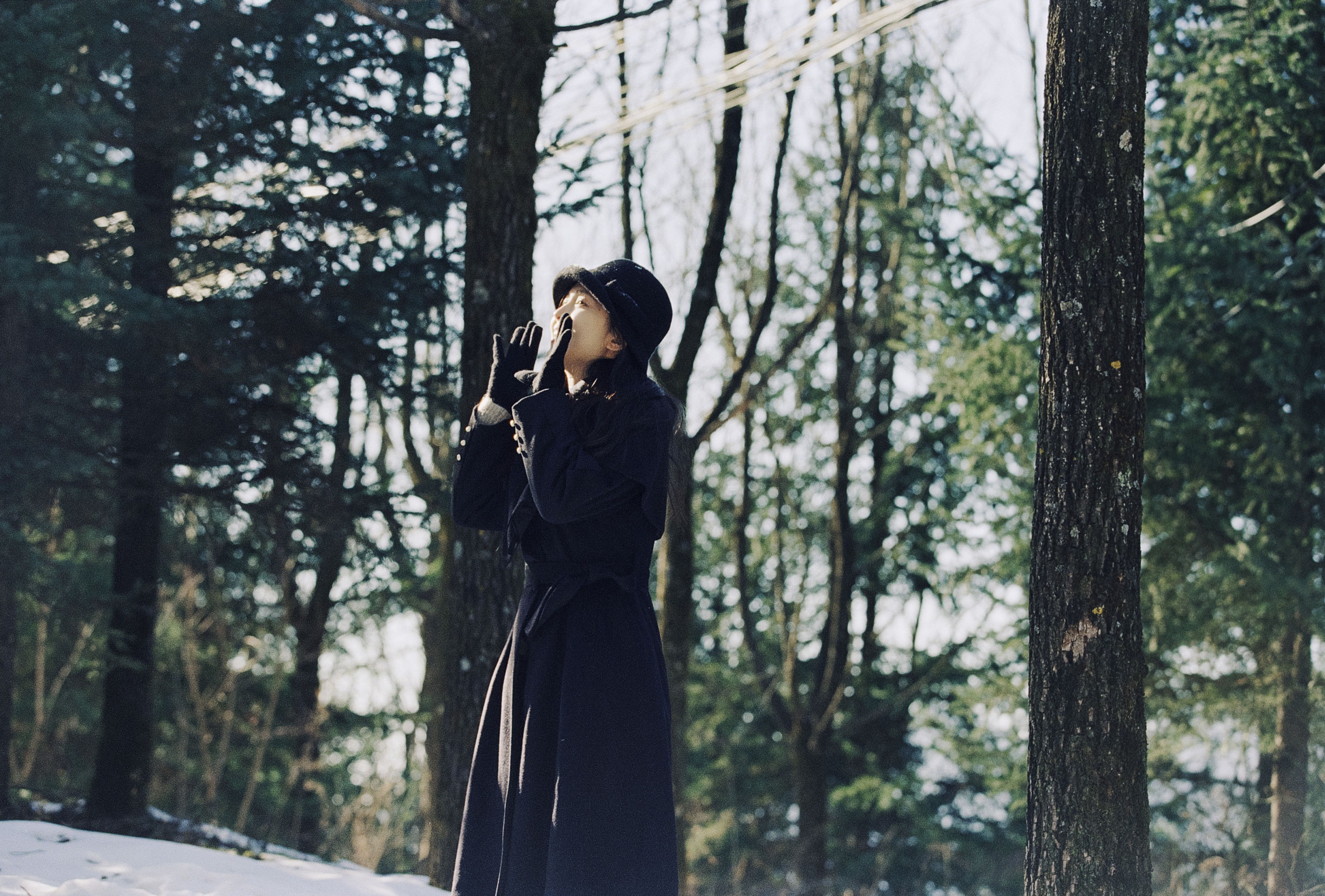 ID12411情书-妍画集