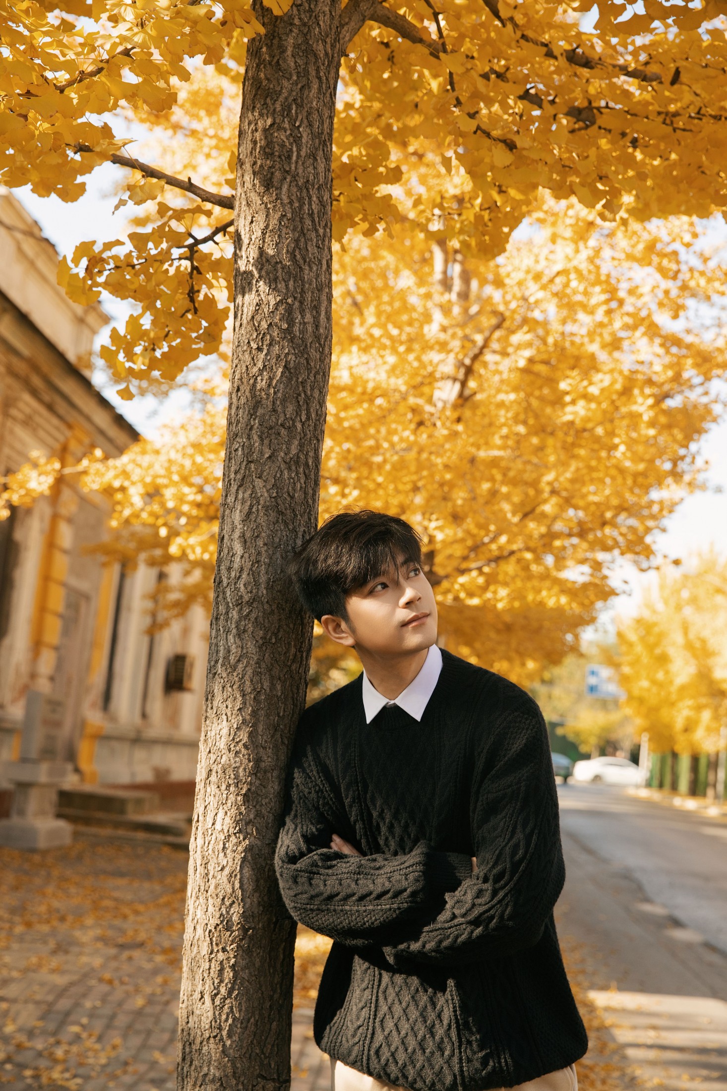 海洋Make-upman - 《秋意浓时，在银杏树下邂逅温柔时光》[24P] 插图3