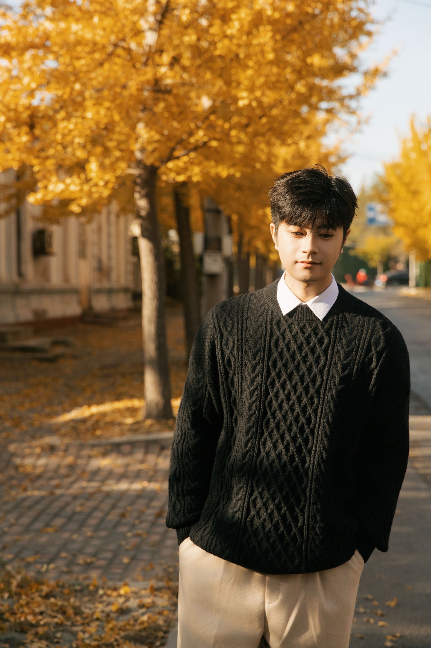 ID12352秋意浓时，在银杏树下邂逅温柔时光-妍画集