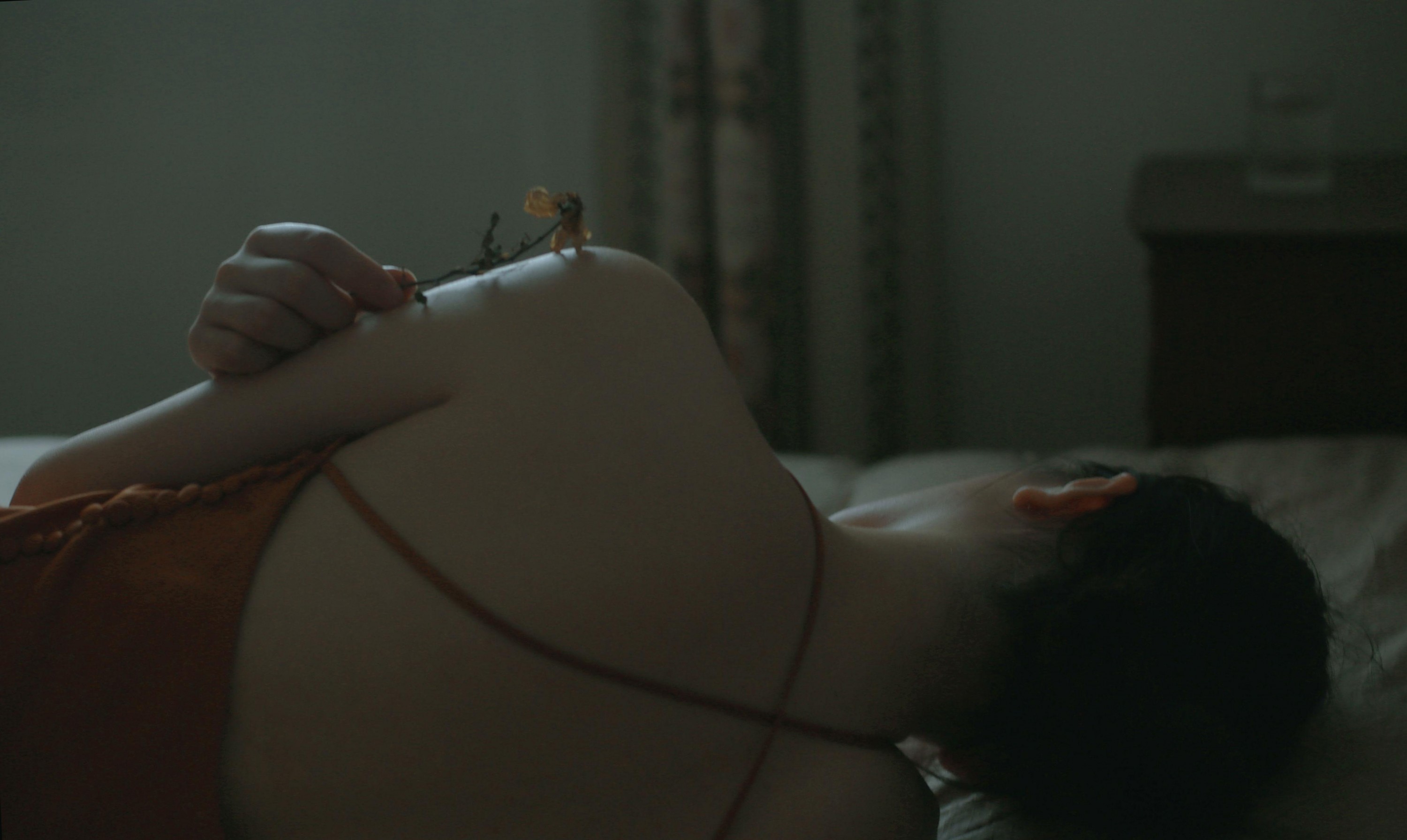 《喜棠》[23P] 插图2